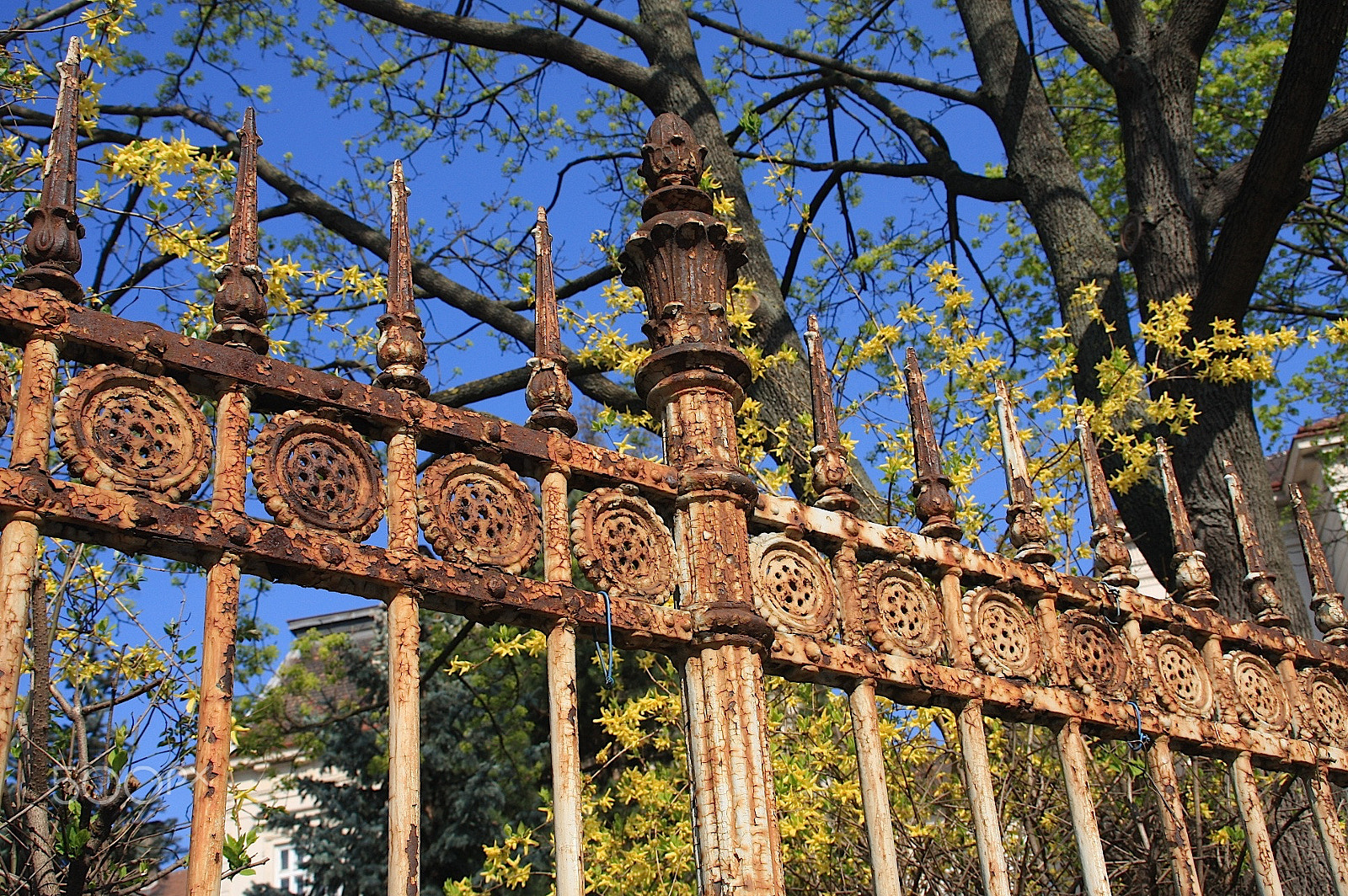 Canon EOS 40D sample photo. Picket fences photography