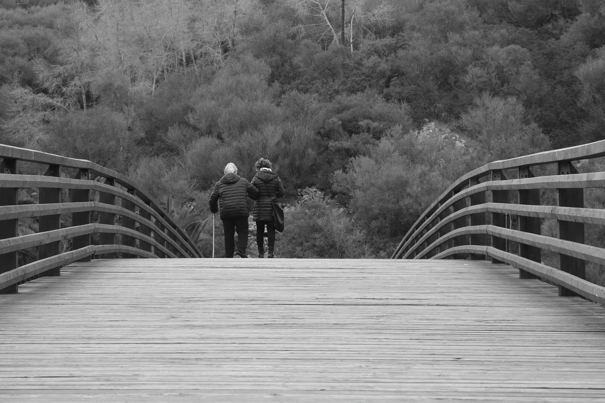 Canon EOS 1300D (EOS Rebel T6 / EOS Kiss X80) sample photo. Walk of life over the bridge photography