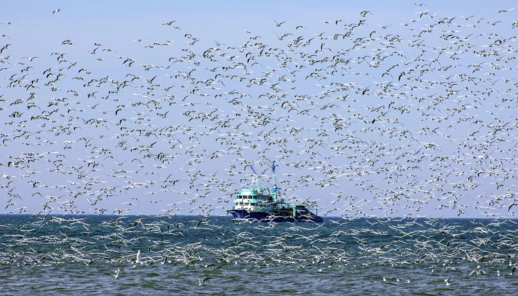 Nikon D2X sample photo. Nice trip... photography
