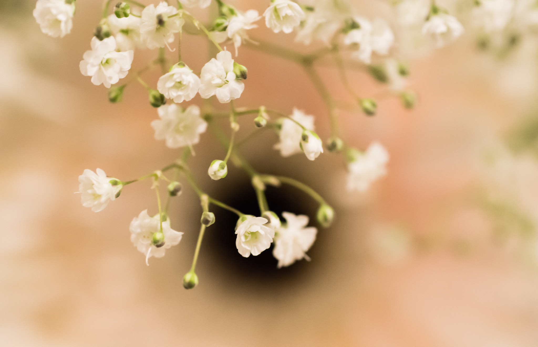 Nikon D7200 sample photo