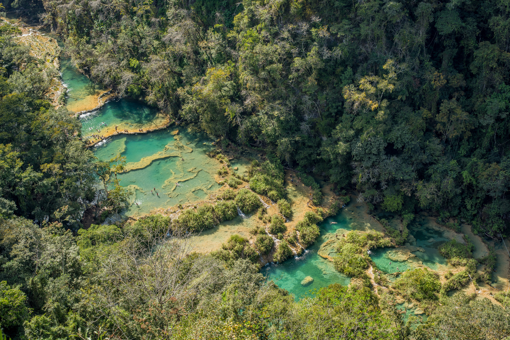 Nikon D810 + Nikon AF-S Nikkor 50mm F1.8G sample photo. Dsc photography