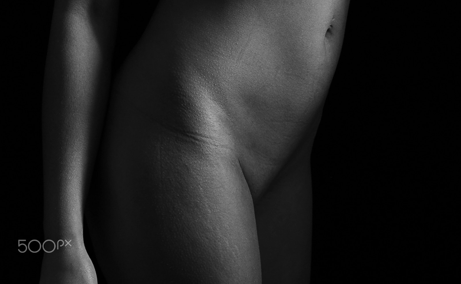 Canon EOS 70D + Sigma 24-70mm F2.8 EX DG Macro sample photo. Texture of body photography