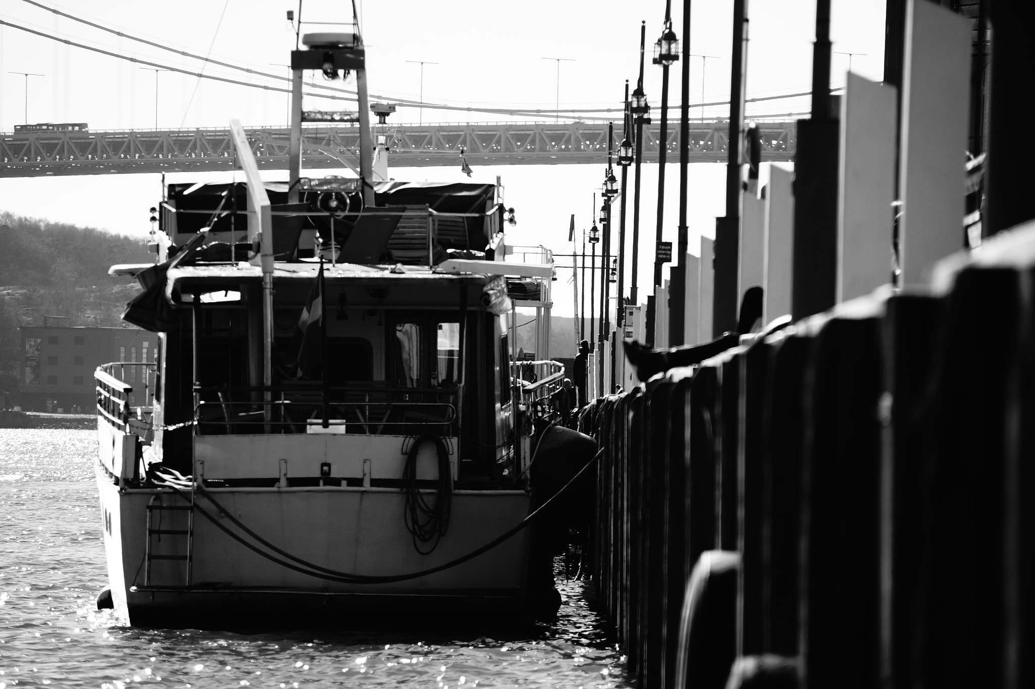 Sony DT 55-300mm F4.5-5.6 SAM sample photo. Untitled photography