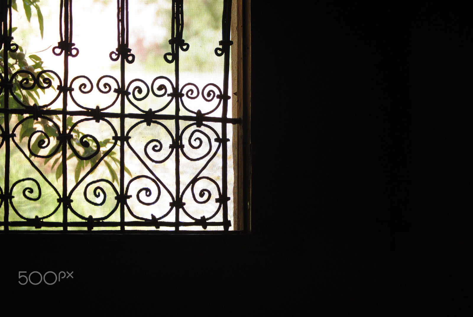 Nikon D3000 sample photo. Vmx photography
