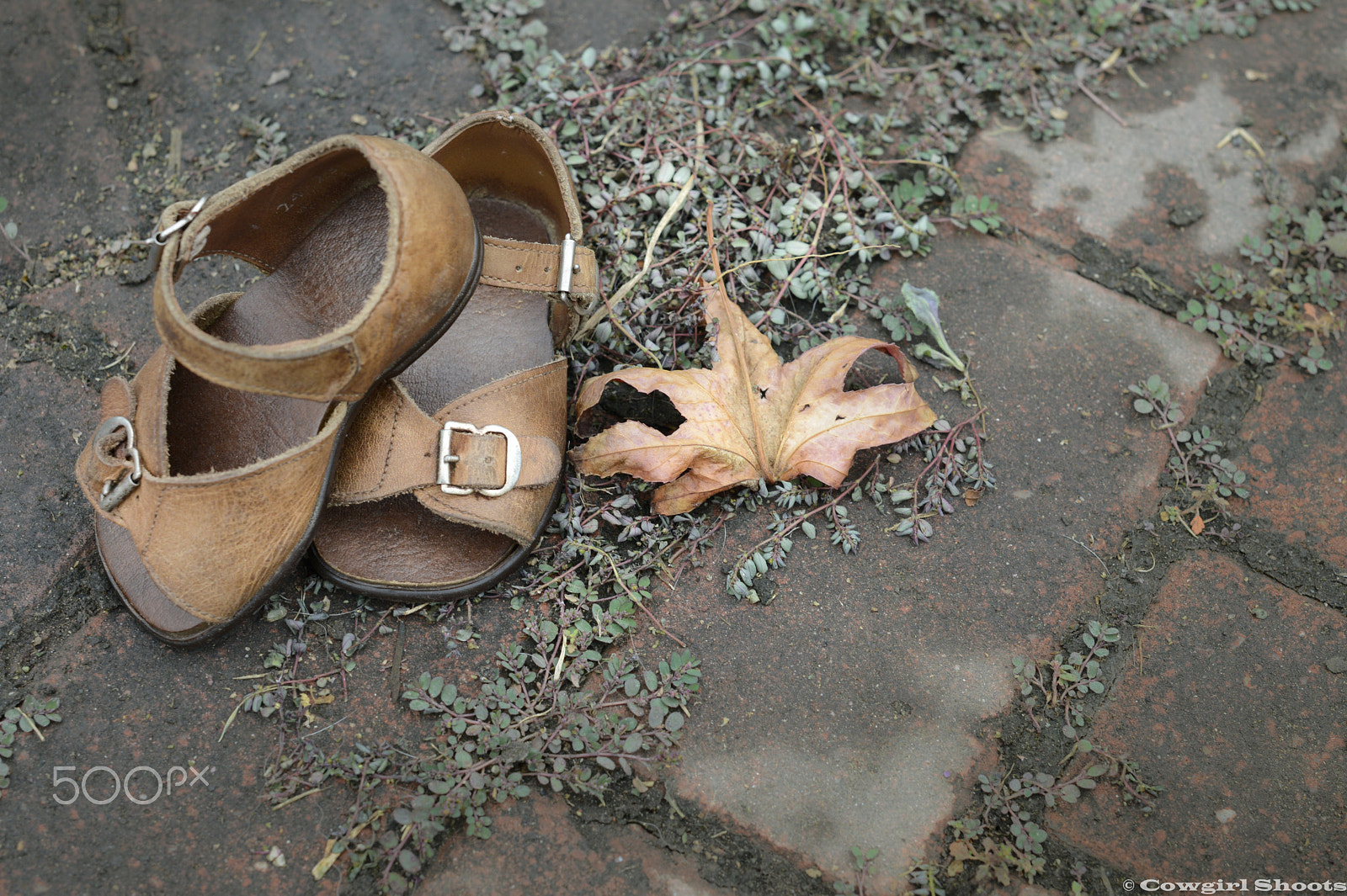 Nikon D800E + Nikon AF-S Nikkor 50mm F1.4G sample photo. Baby shoes photography