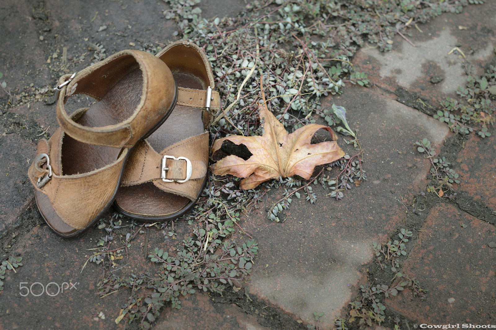 Nikon D800E + Nikon AF-S Nikkor 50mm F1.4G sample photo. Baby shoes photography