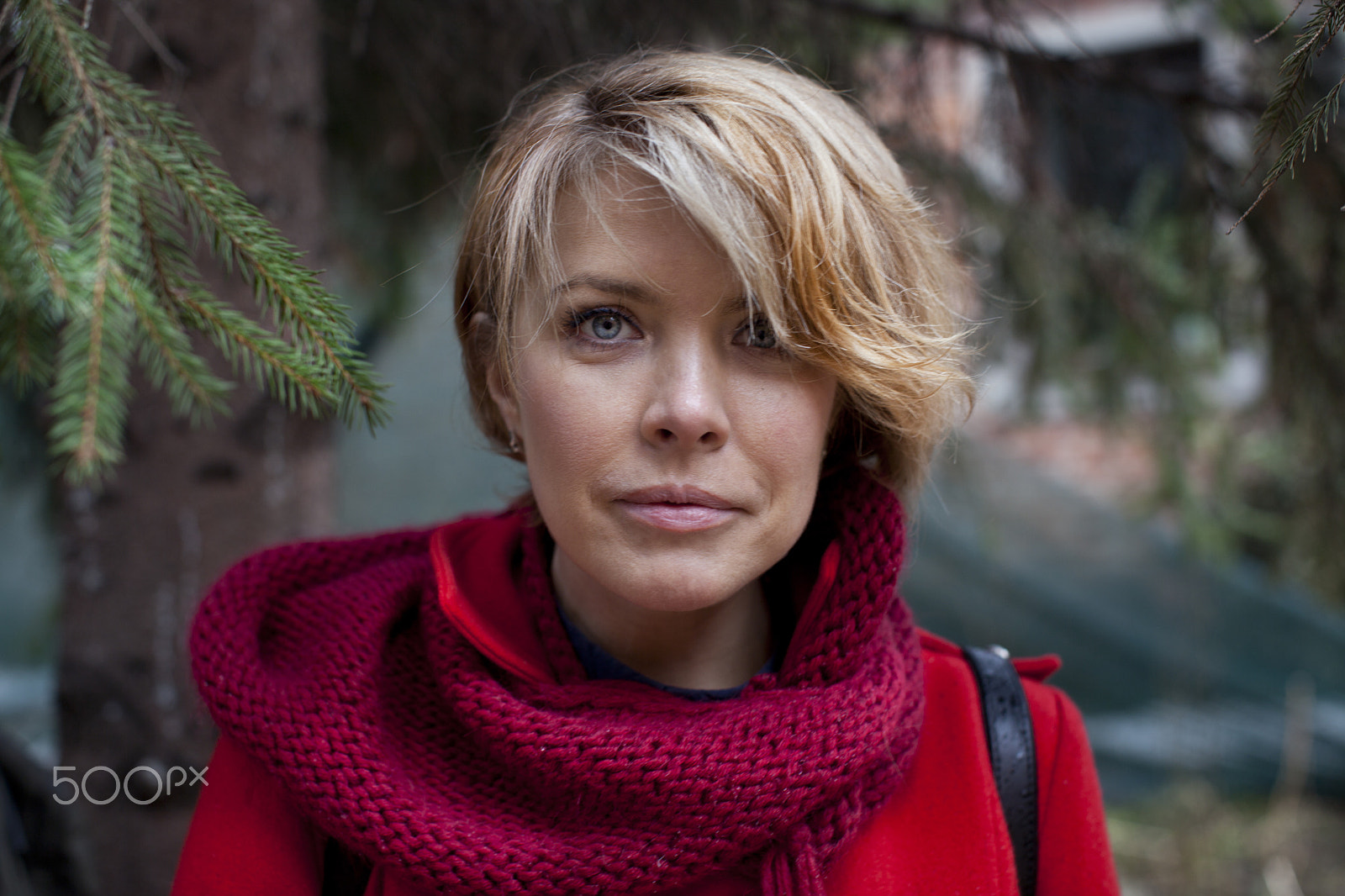 Canon EF 50mm F1.2L USM sample photo. Olga zinovkina photography