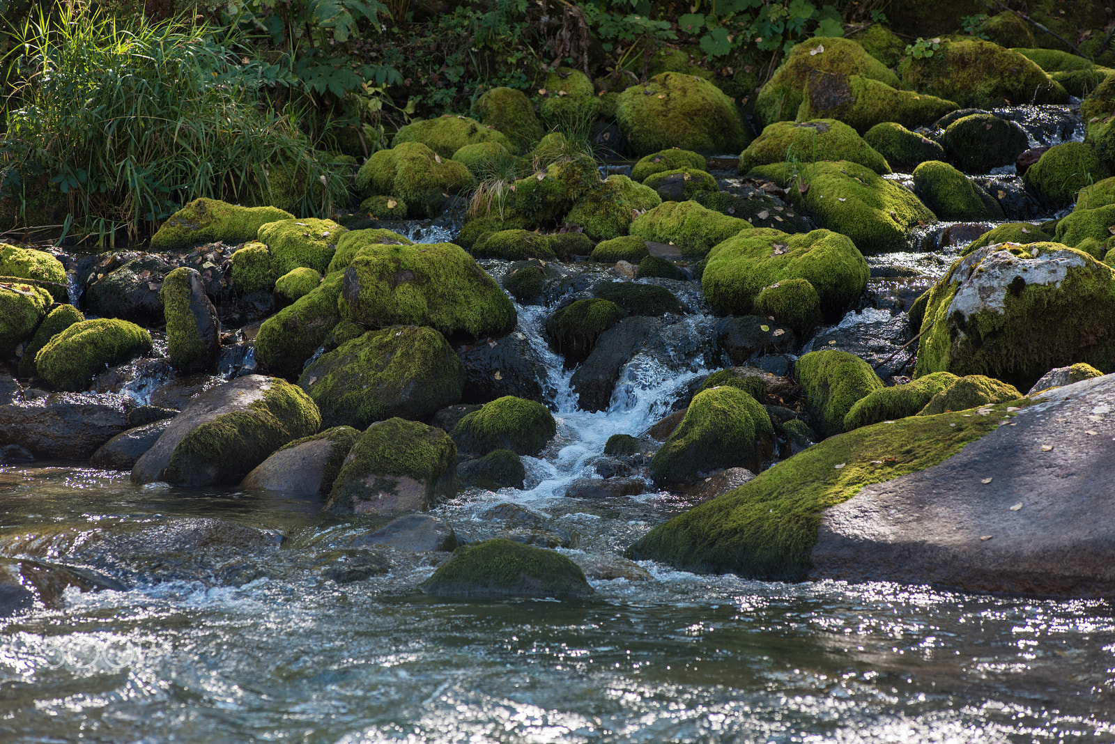 Nikon AF-Nikkor 80-200mm F2.8D ED sample photo. Fast mountain river in altay photography