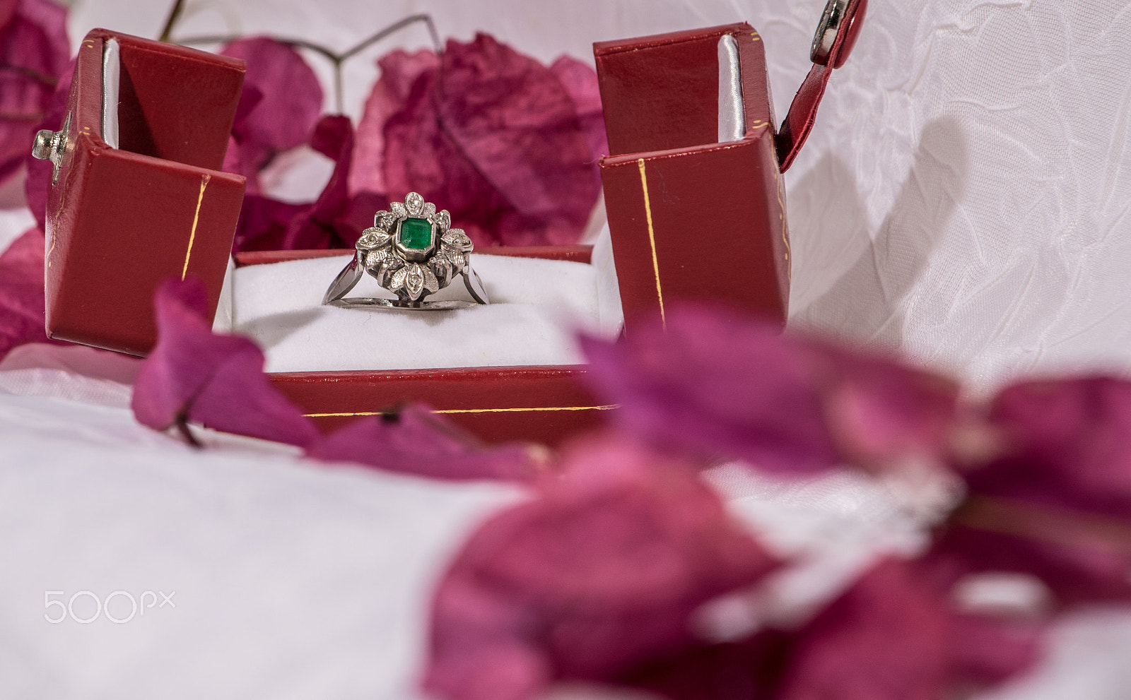 Canon EF-S 55-250mm F4-5.6 IS STM sample photo. Flower & ring photography