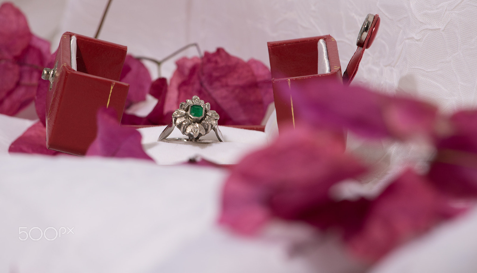 Canon EF-S 55-250mm F4-5.6 IS STM sample photo. Flower & ring photography
