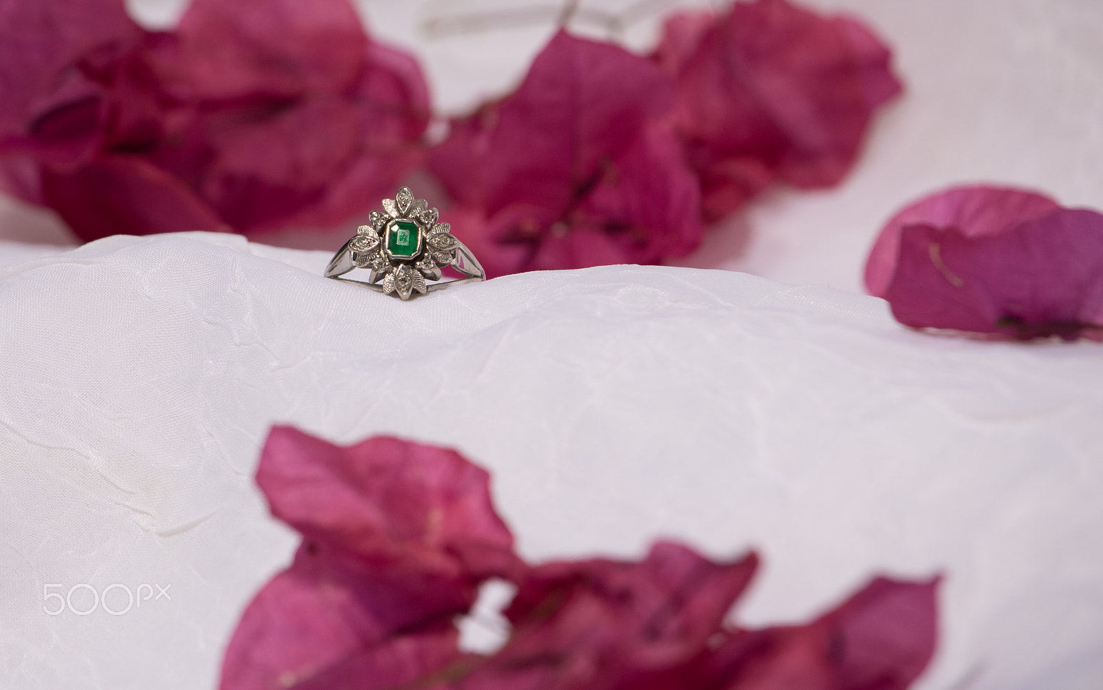 Canon EF-S 55-250mm F4-5.6 IS STM sample photo. Flower & ring photography