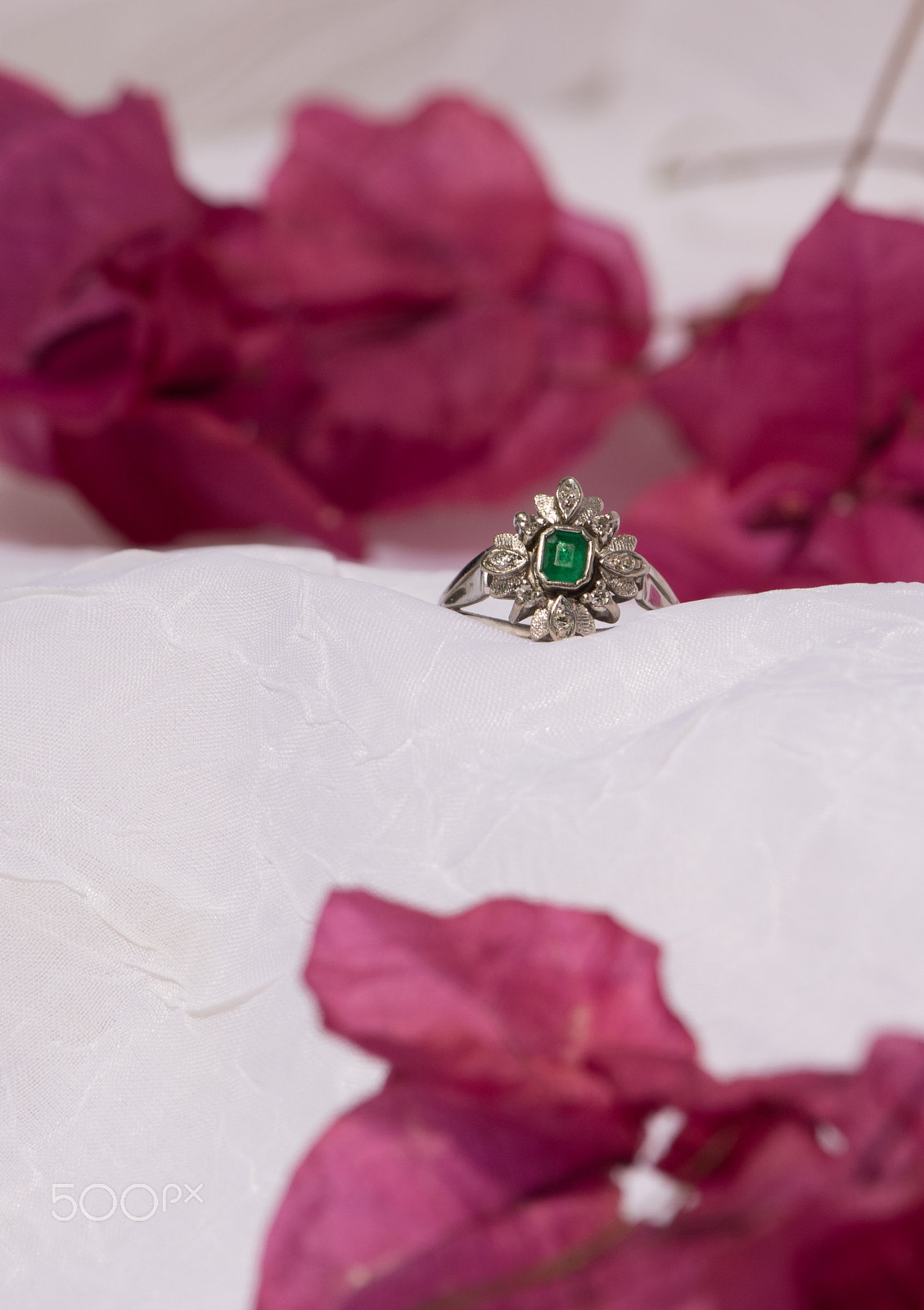 Canon EF-S 55-250mm F4-5.6 IS STM sample photo. Flower & ring photography