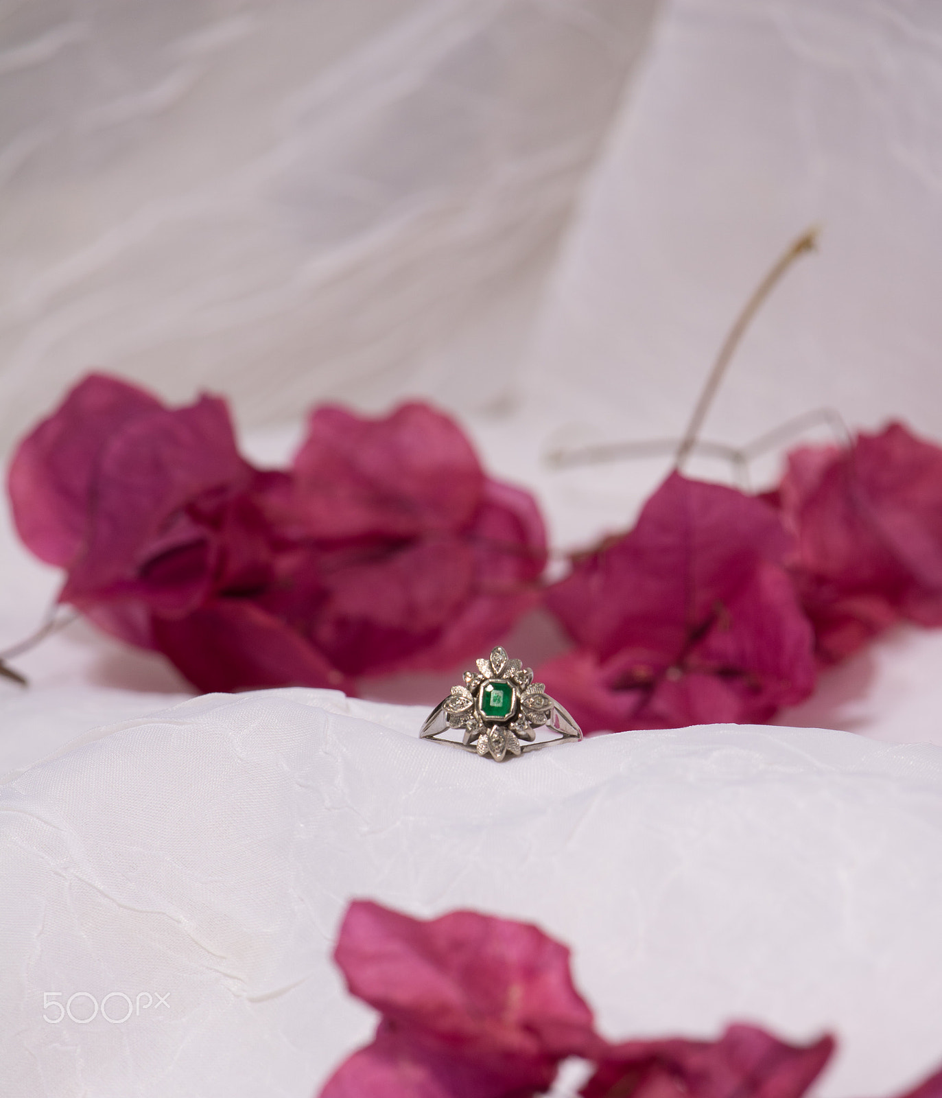 Canon EF-S 55-250mm F4-5.6 IS STM sample photo. Flower & ring photography