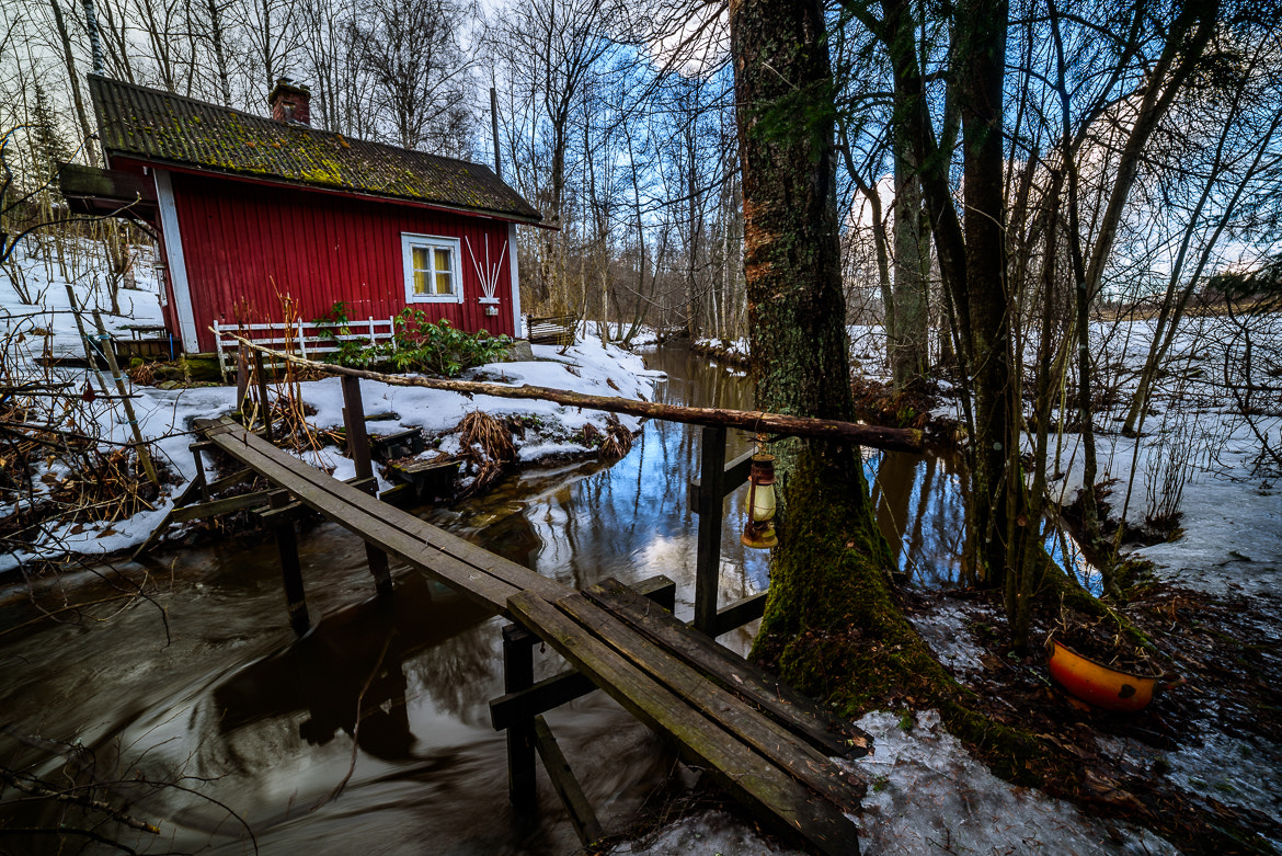 Nikon D750 + Samyang 14mm F2.8 ED AS IF UMC sample photo. A cabin in the woods photography