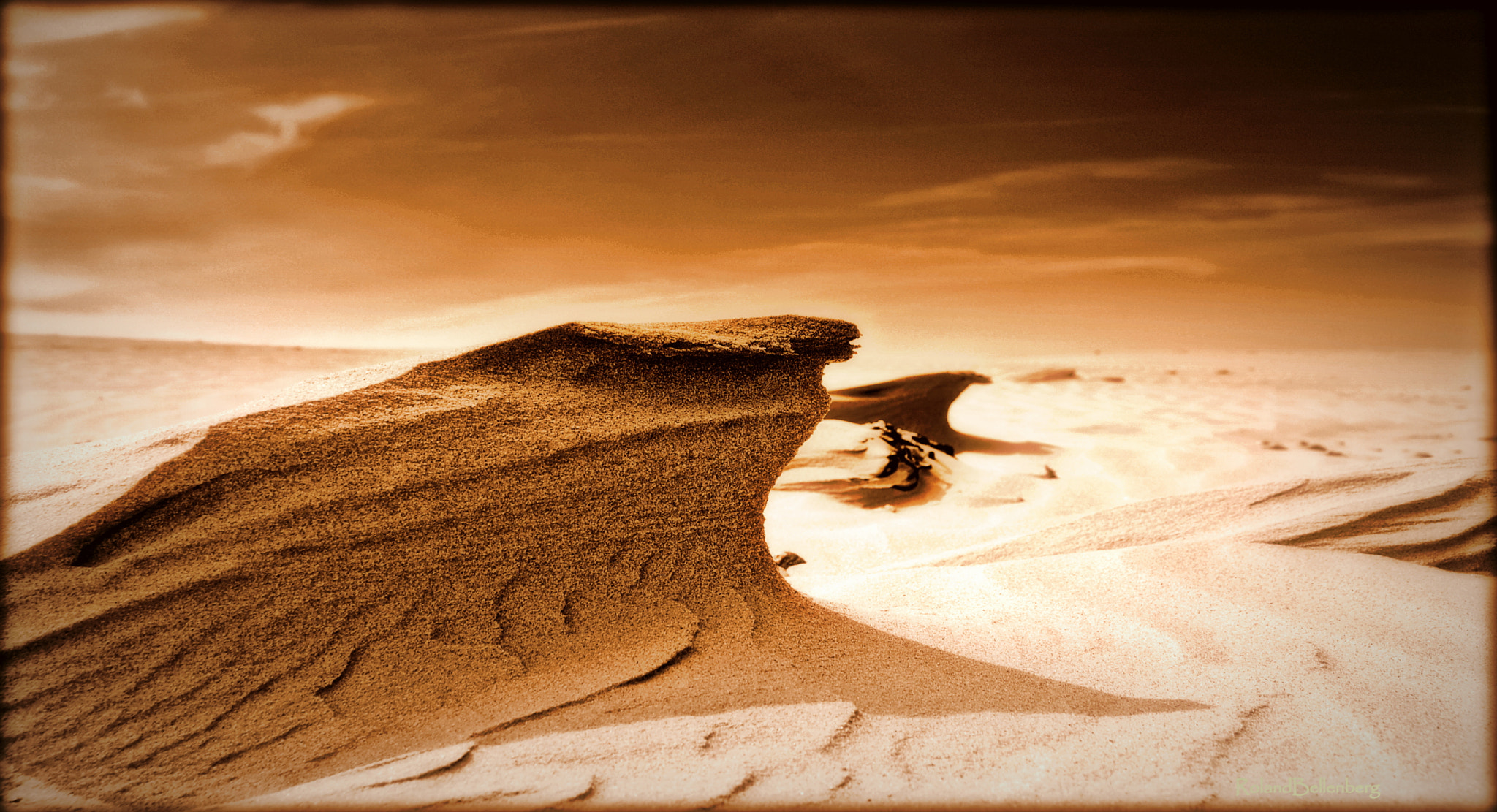 Nikon D50 sample photo. Life on mars? photography