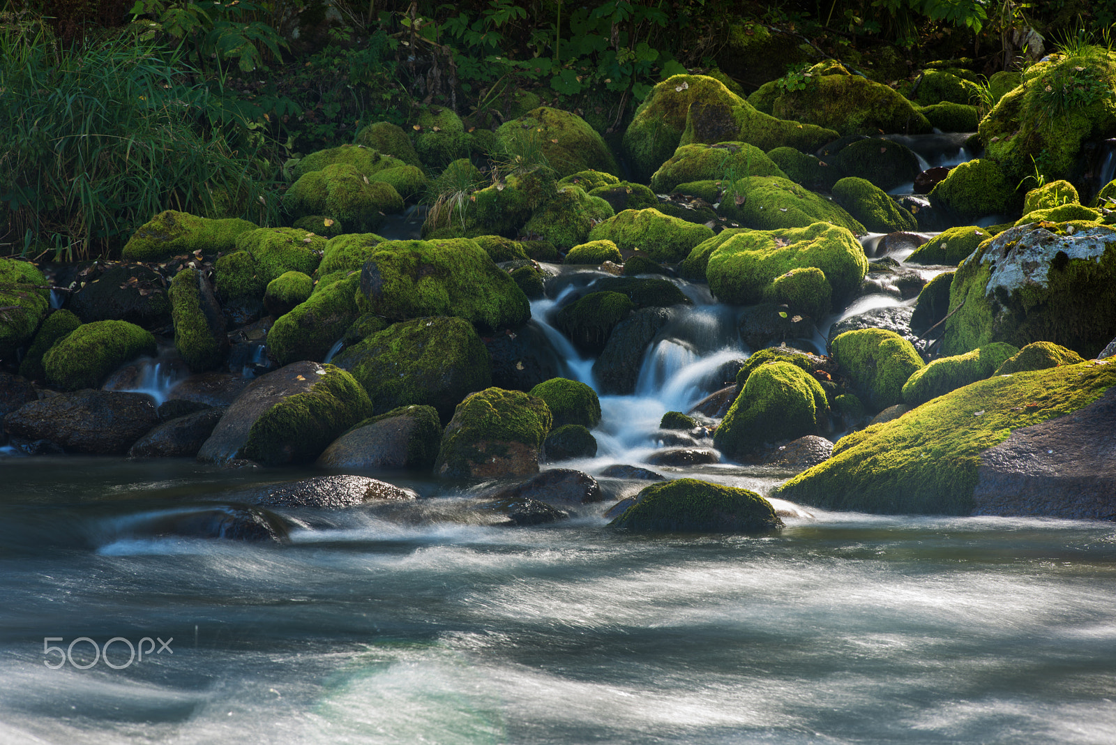 Nikon D810 sample photo. Fast mountain river in altay photography