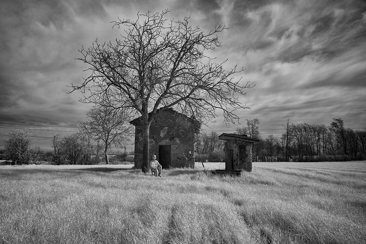 Nikon D70s + Sigma 17-50mm F2.8 EX DC OS HSM sample photo. Life in the time of infrared photography