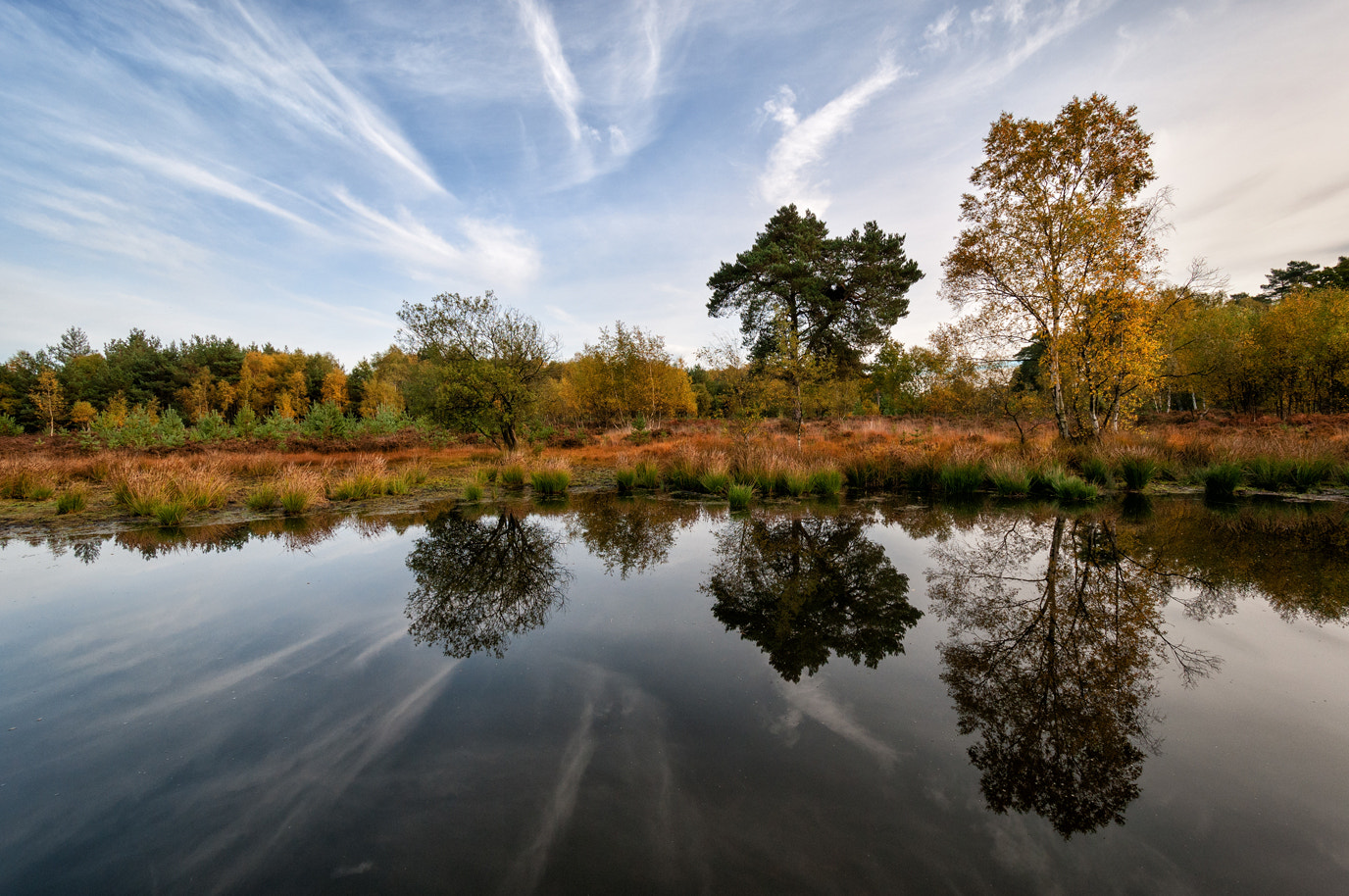 Nikon D300S sample photo. My pond photography