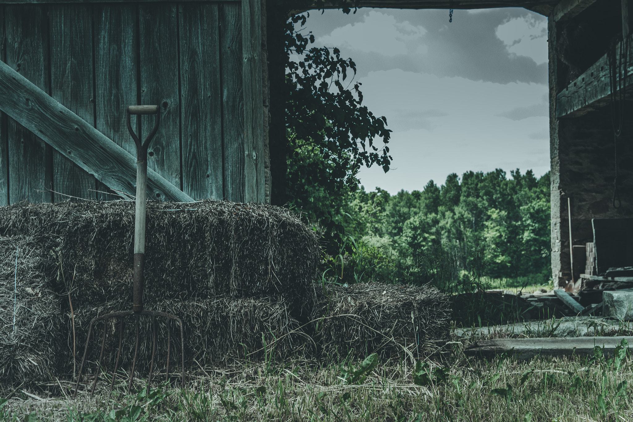 Canon EF-S 17-55mm F2.8 IS USM sample photo. Farm life photography