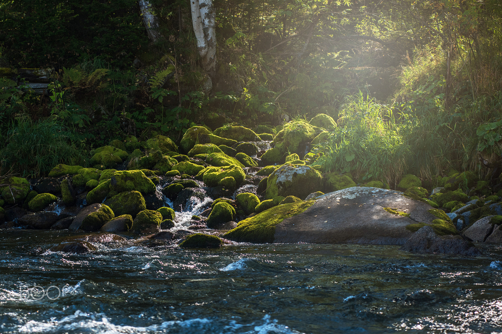 Nikon AF-Nikkor 80-200mm F2.8D ED sample photo. Fast mountain river in altay photography