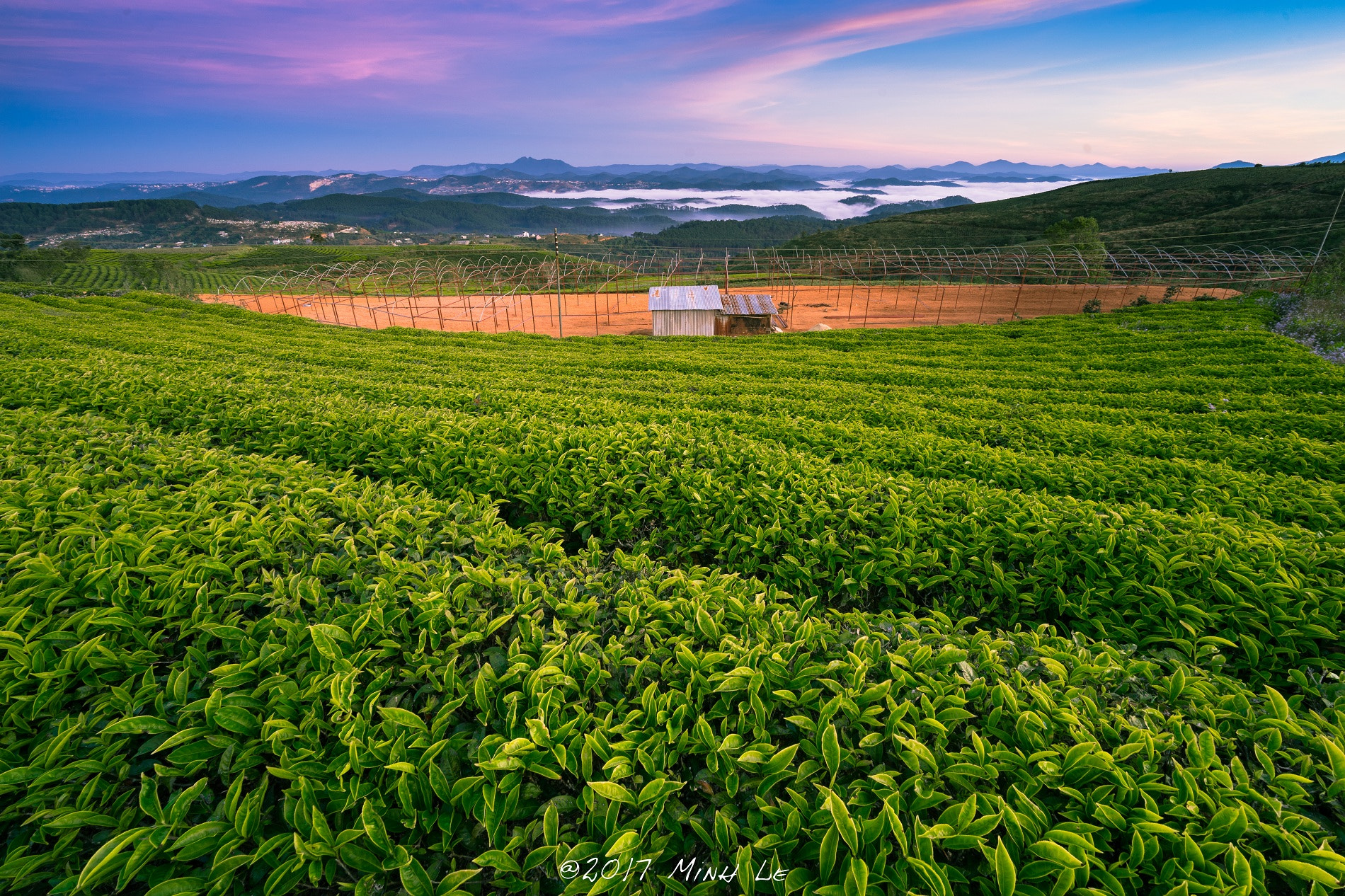 Sony a7 II + Voigtlander SUPER WIDE-HELIAR 15mm F4.5 III sample photo. F photography