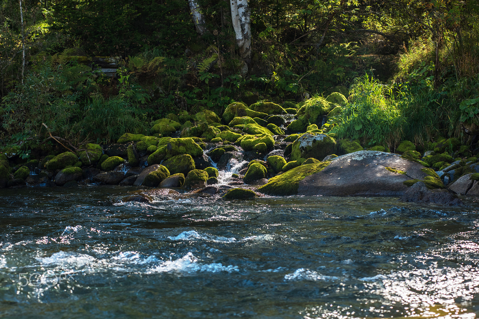 Nikon AF-Nikkor 80-200mm F2.8D ED sample photo. Fast mountain river in altay photography