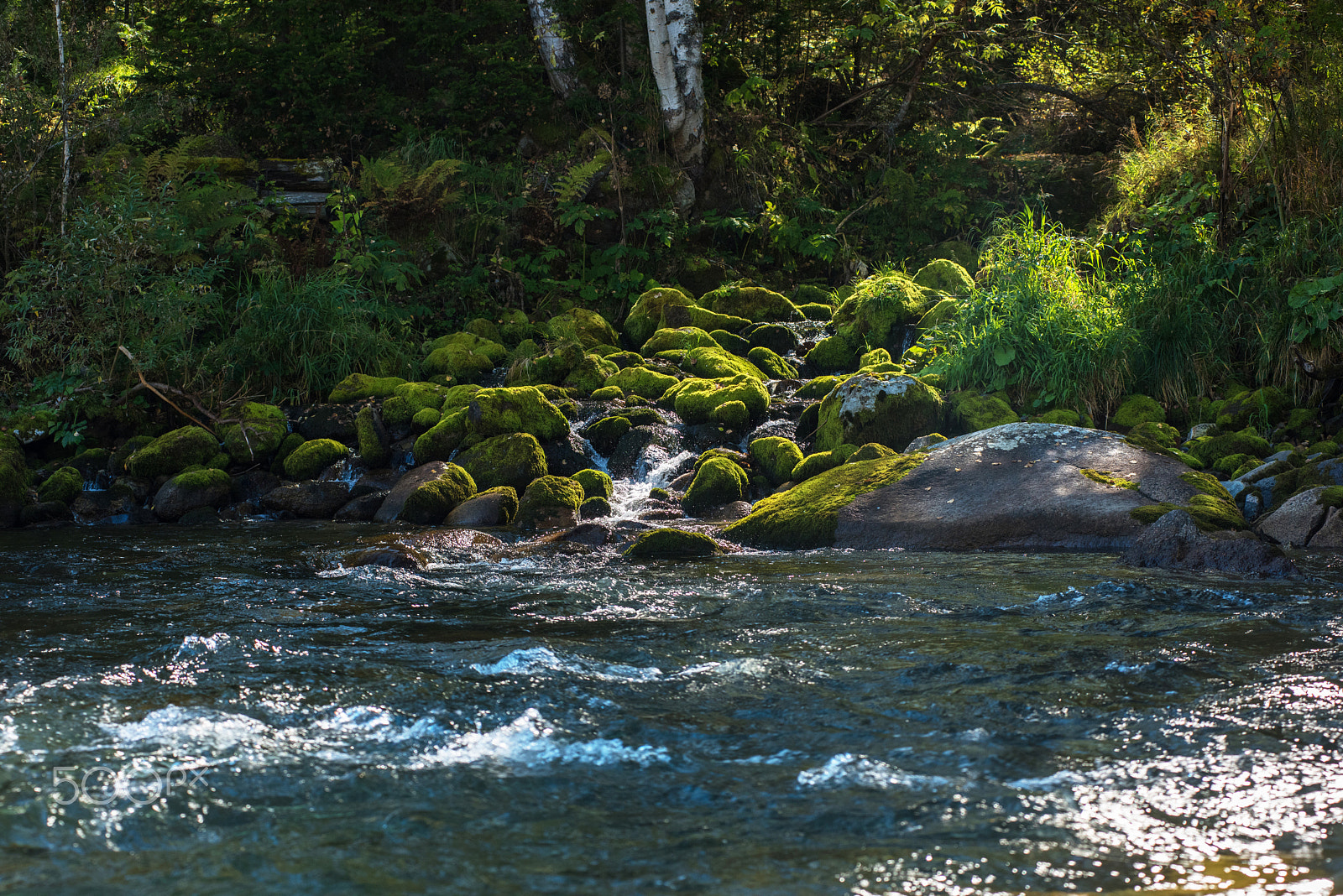 Nikon D810 + Nikon AF-Nikkor 80-200mm F2.8D ED sample photo. Fast mountain river in altay photography