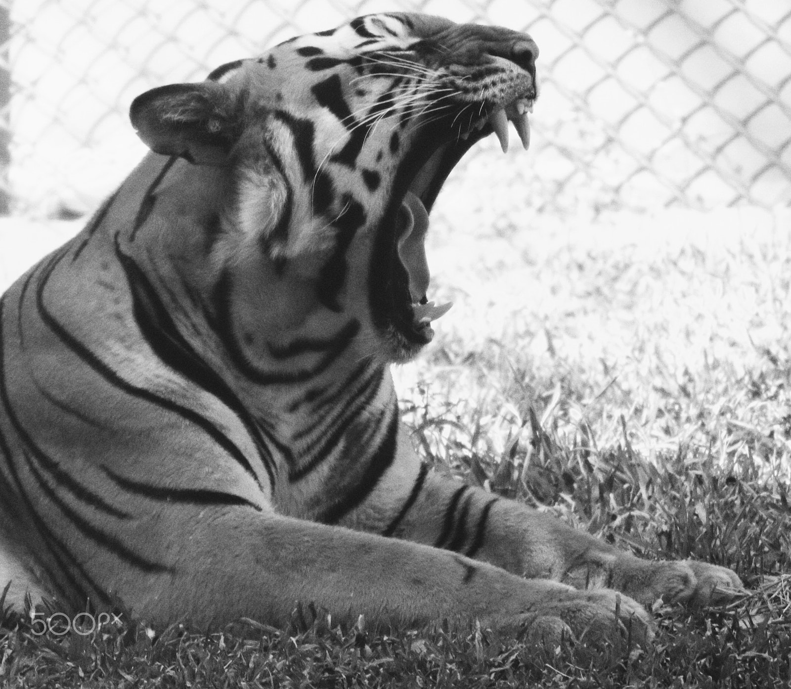 Canon EOS 760D (EOS Rebel T6s / EOS 8000D) + Canon 70-300mm sample photo. This is so boring! photography