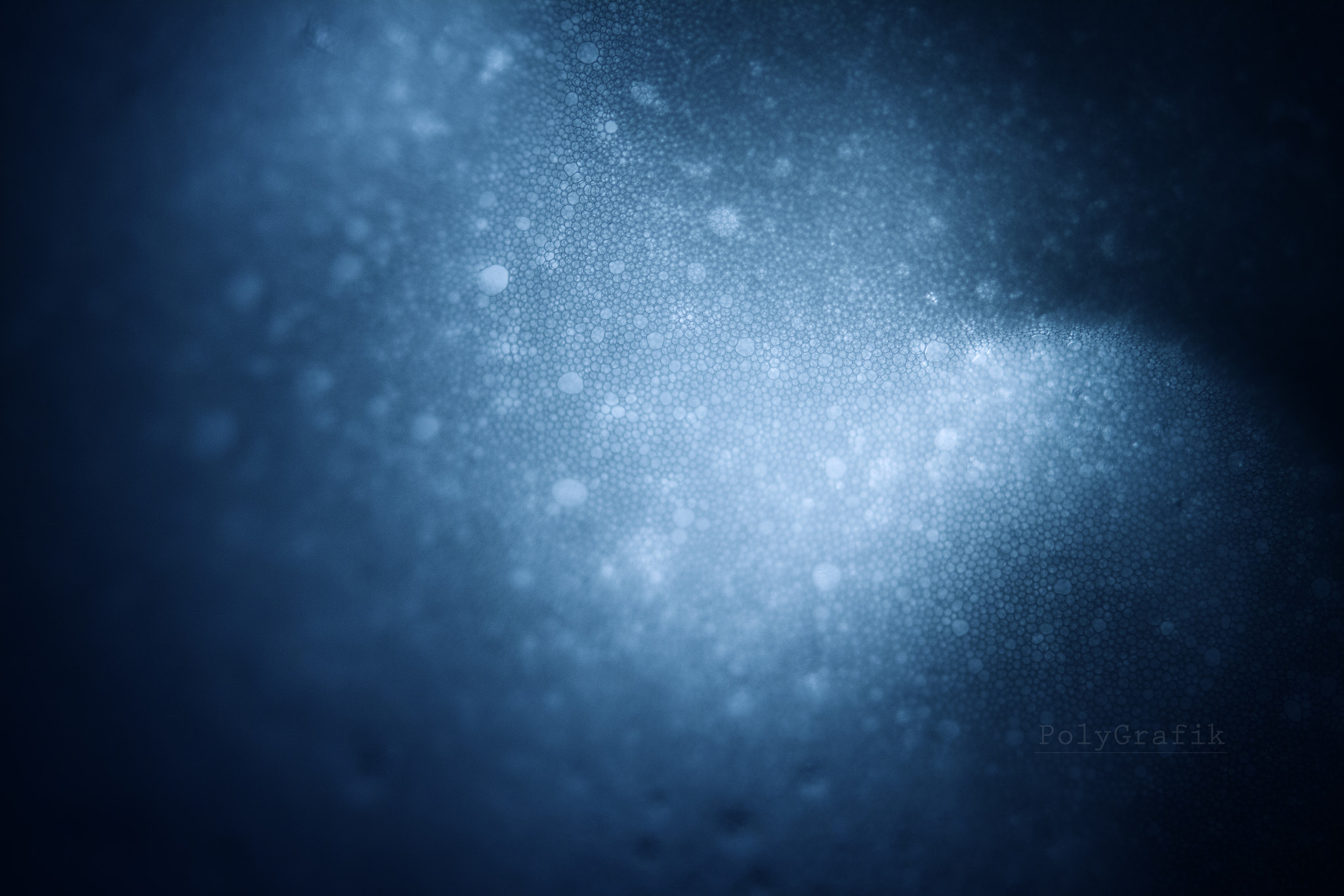 Canon EF 35-80mm f/4-5.6 sample photo. Foam photography