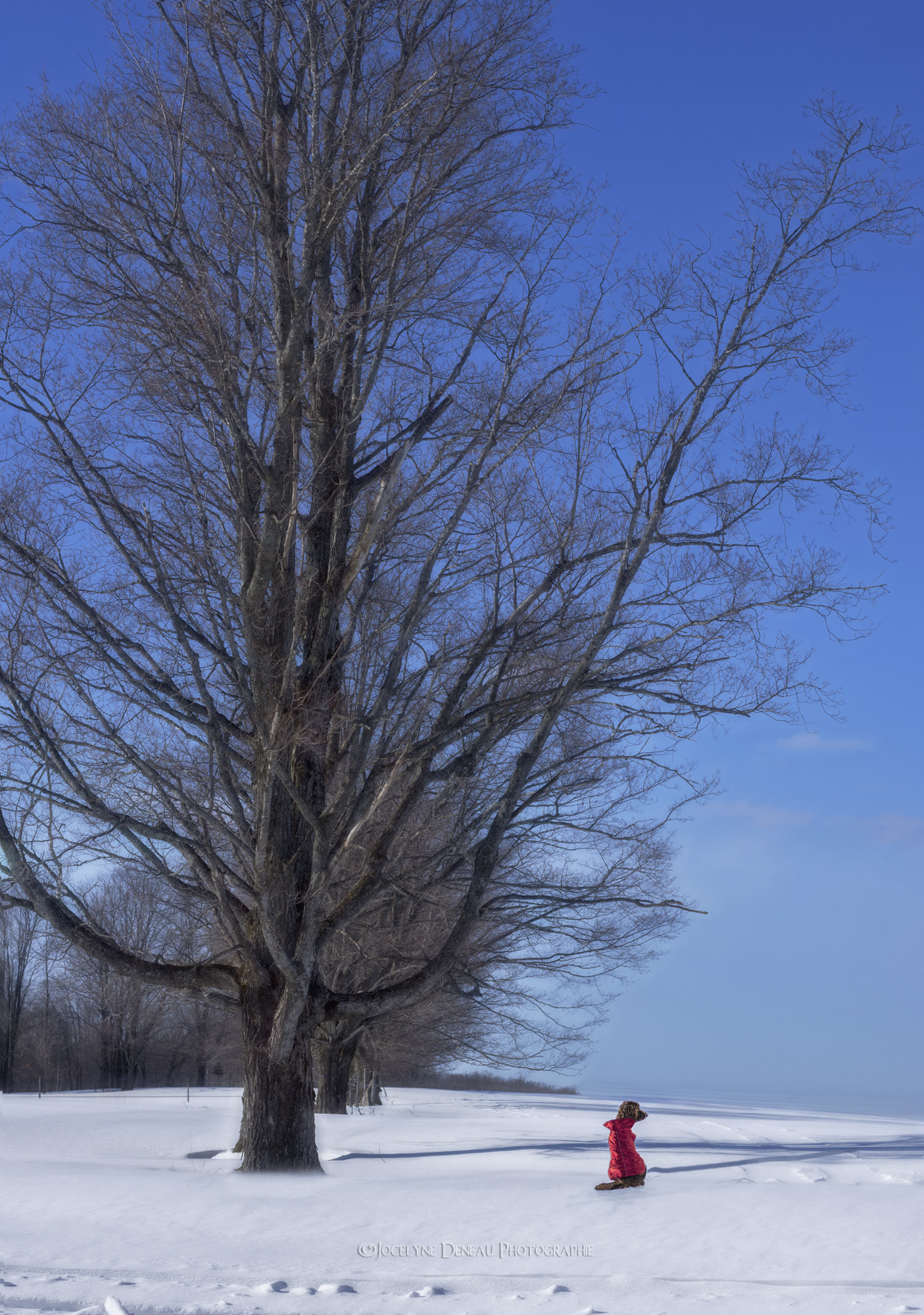 Pentax K-5 sample photo