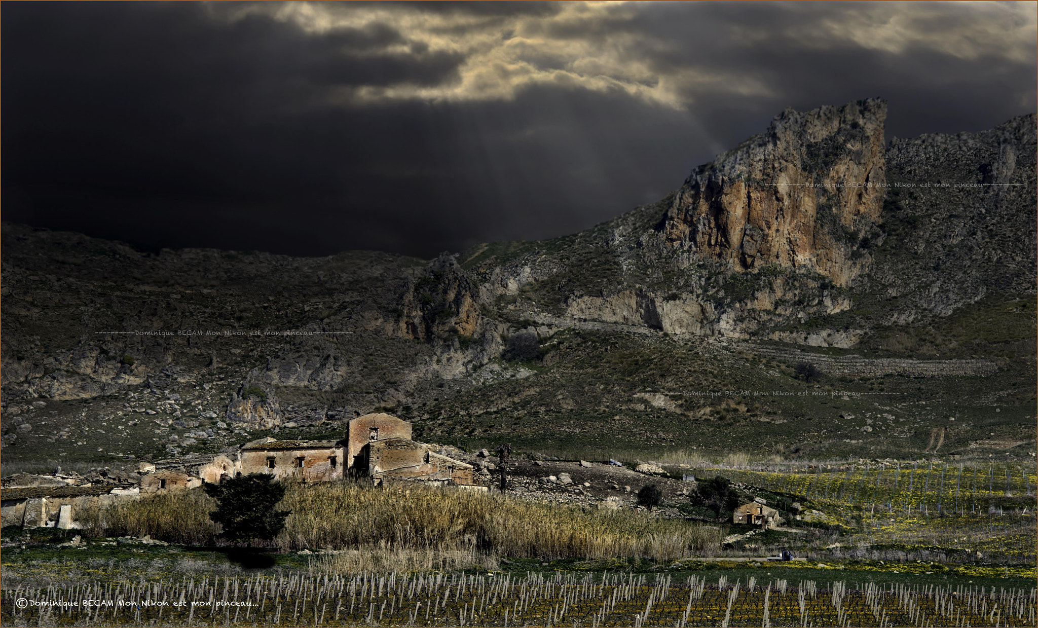 Nikon D4 sample photo. Storm is beginning. photography