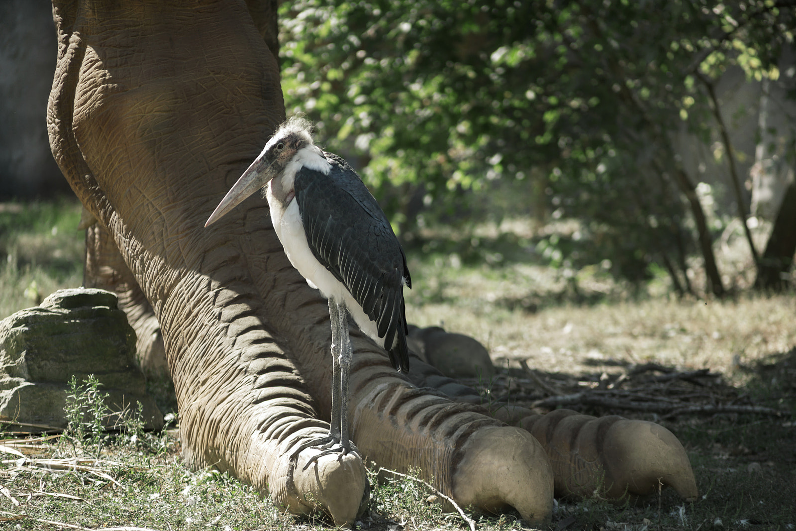 Canon EOS 5D Mark II + Canon EF 70-210mm f/3.5-4.5 USM sample photo. Friends photography