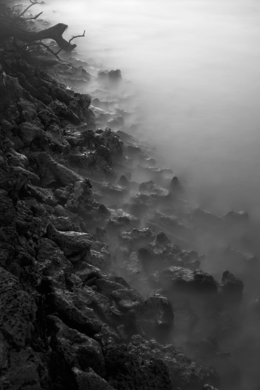 Nikon D810 + Sigma 50mm F1.4 DG HSM Art sample photo. Untitled photography
