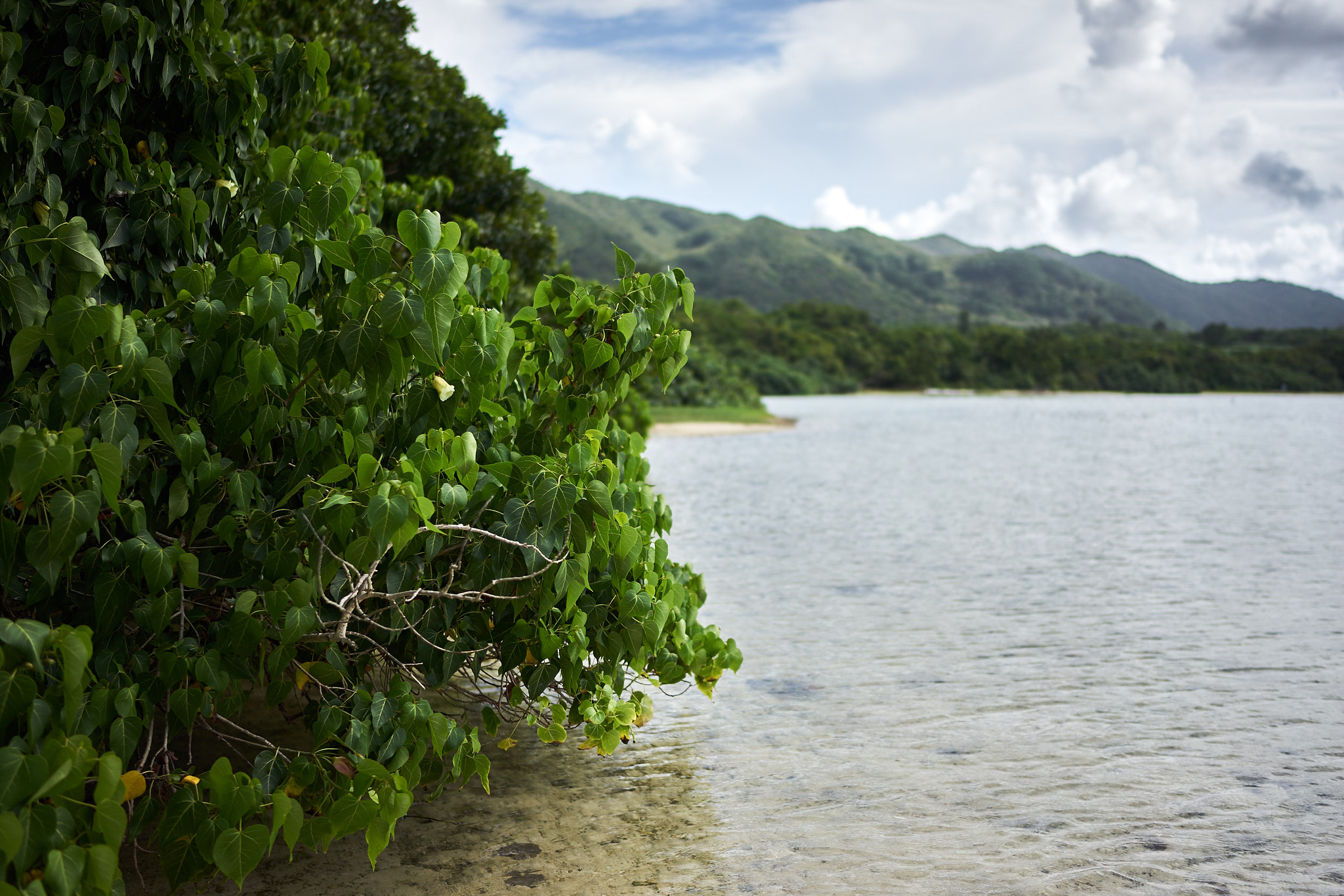 Sony a7R sample photo. Ishigaki beach photography