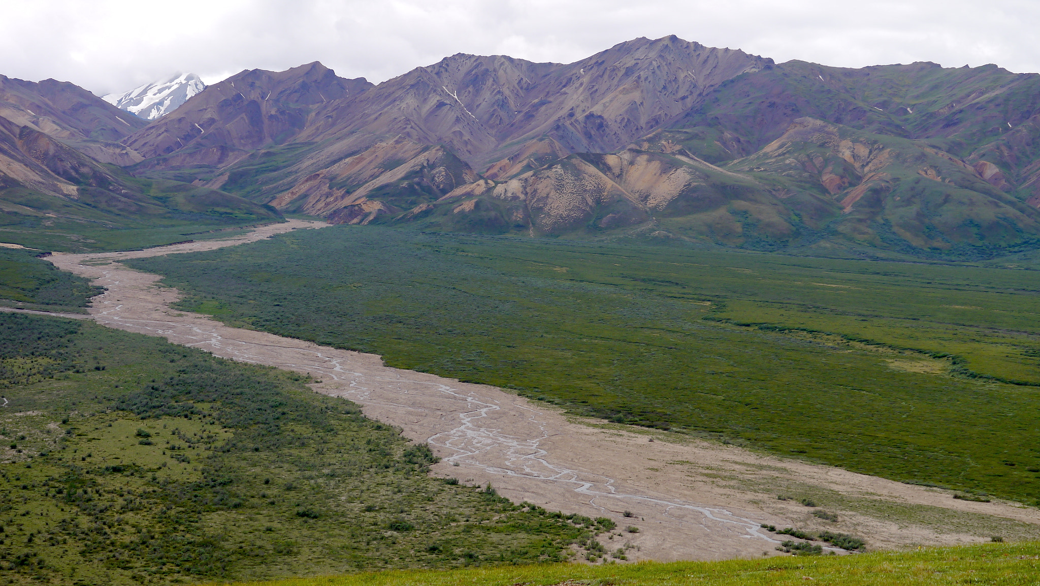 Panasonic Lumix DMC-GX1 + Panasonic Lumix G X Vario PZ 45-175mm F4.0-5.6 ASPH OIS sample photo. Polychrome mountains denali national park photography