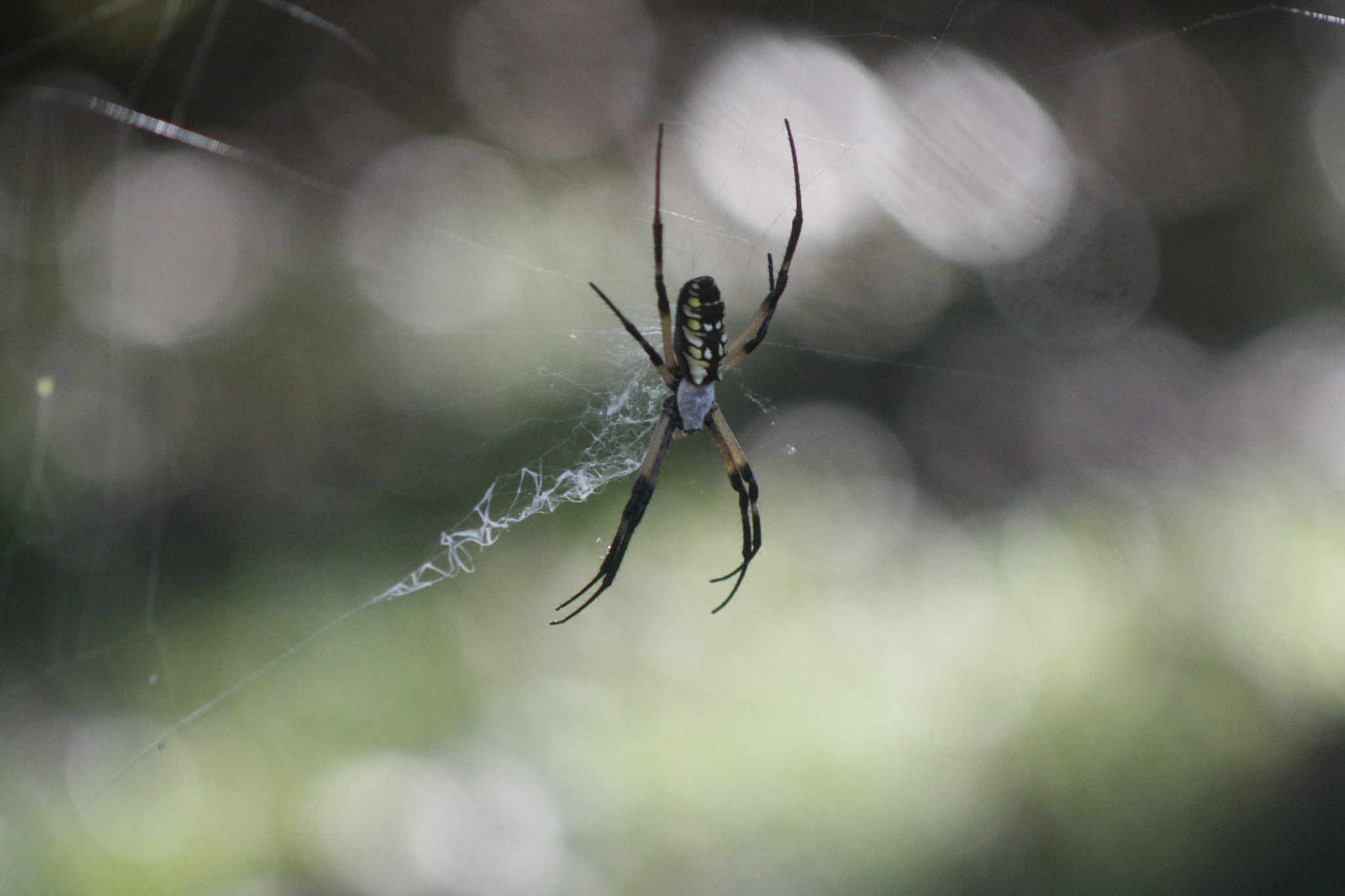 EF75-300mm f/4-5.6 sample photo. Mg photography