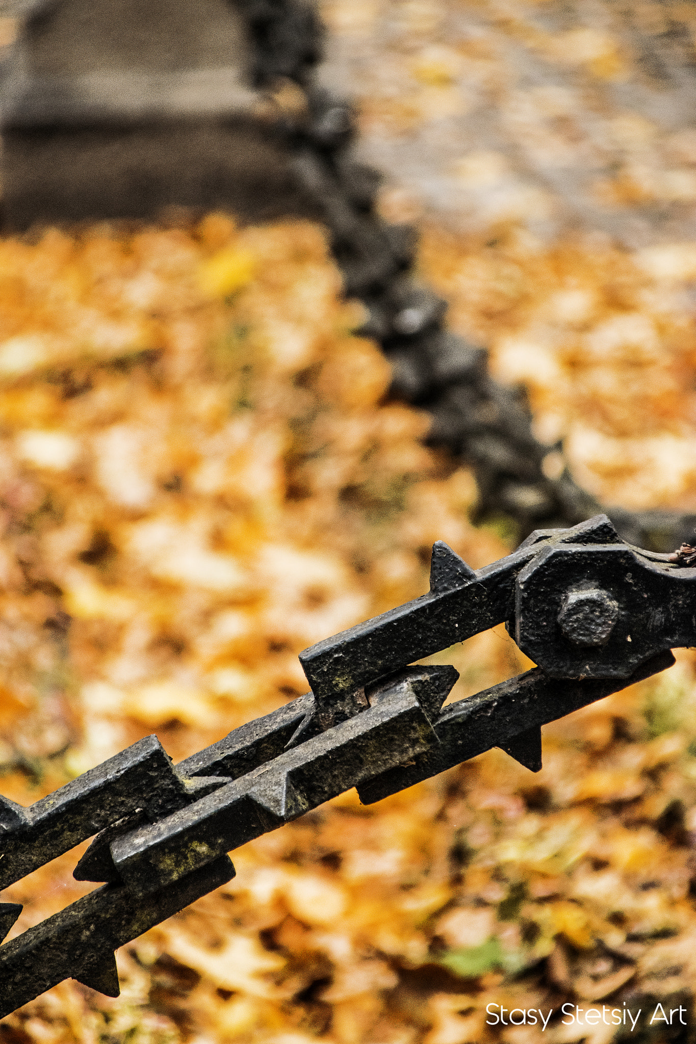 Nikon D5300 + Sigma 28-300mm F3.5-6.3 DG Macro sample photo. Cementery photography