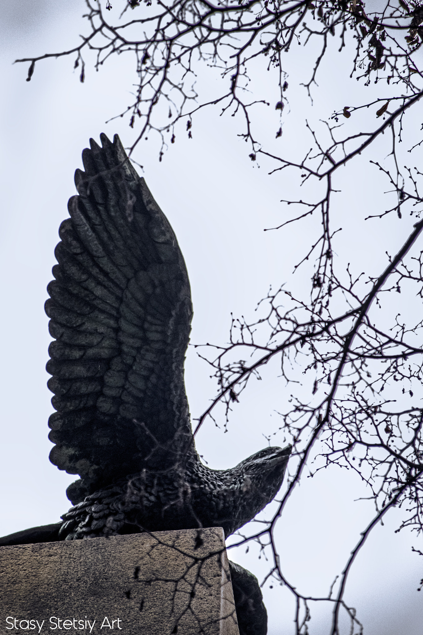 Sigma 28-300mm F3.5-6.3 DG Macro sample photo. Cementery bird photography