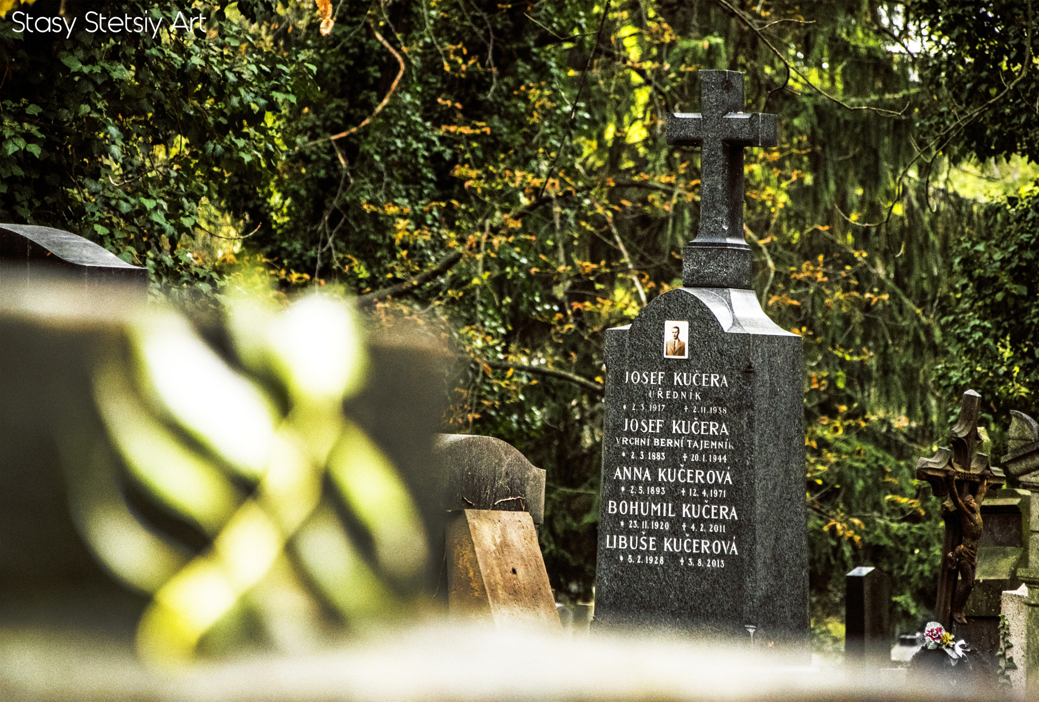 Nikon D5300 + Sigma 28-300mm F3.5-6.3 DG Macro sample photo. Cementery and leaf photography