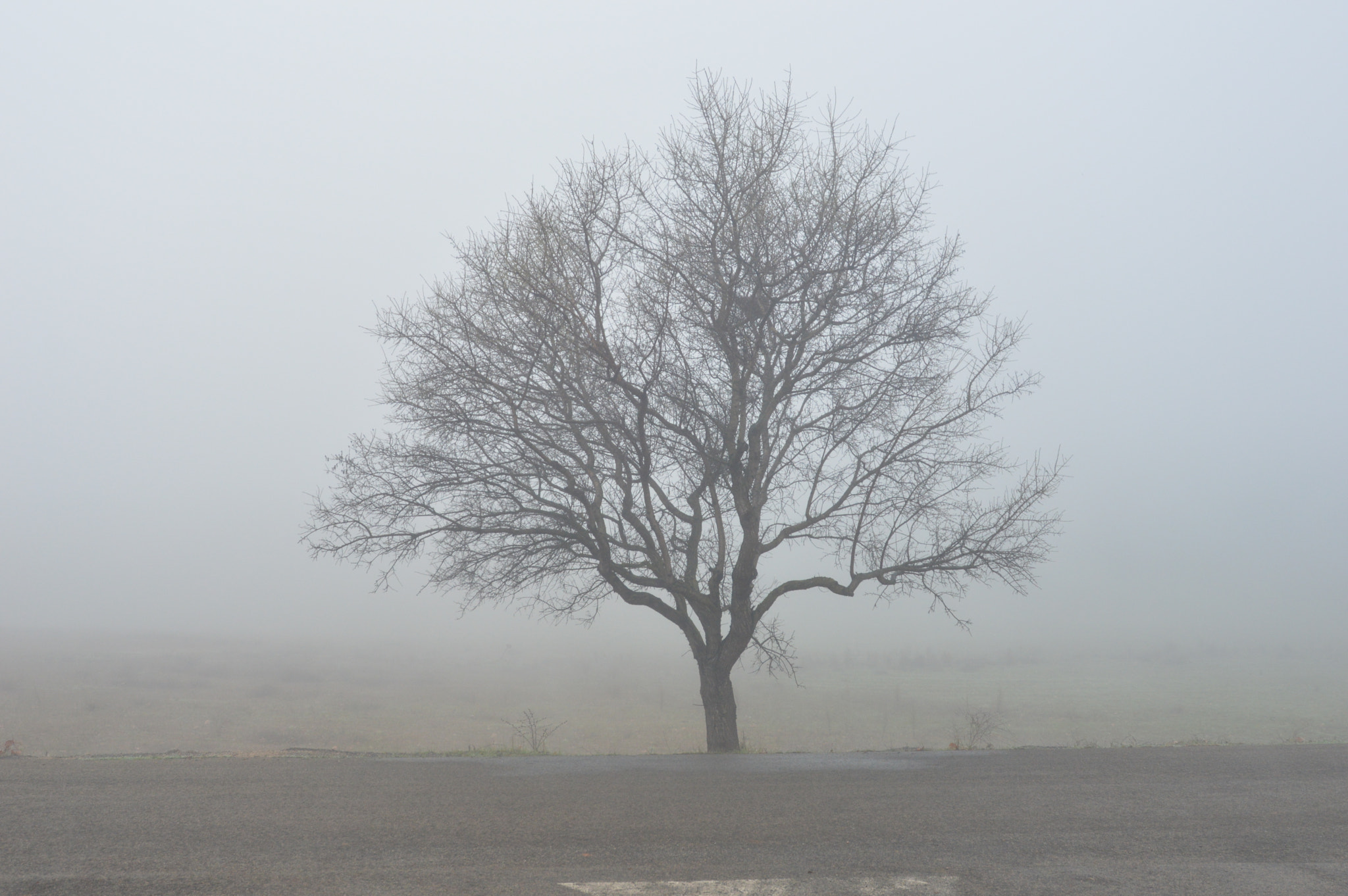 Nikon D3200 sample photo. Niebla photography