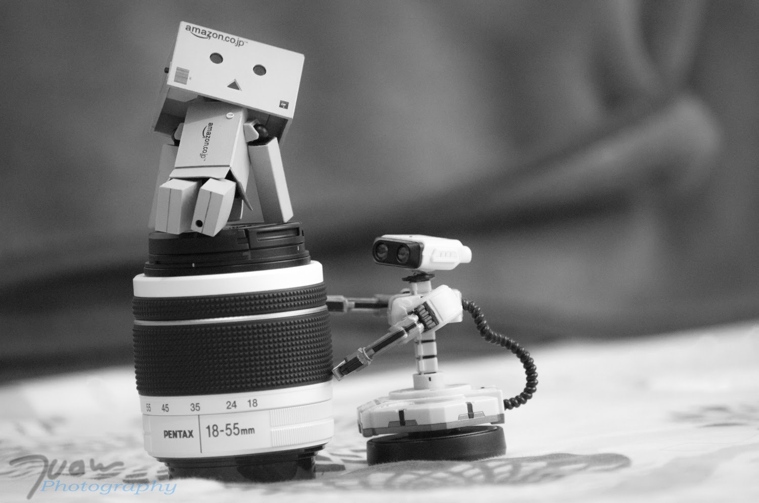 Pentax K-50 + Sigma sample photo. Relax photography