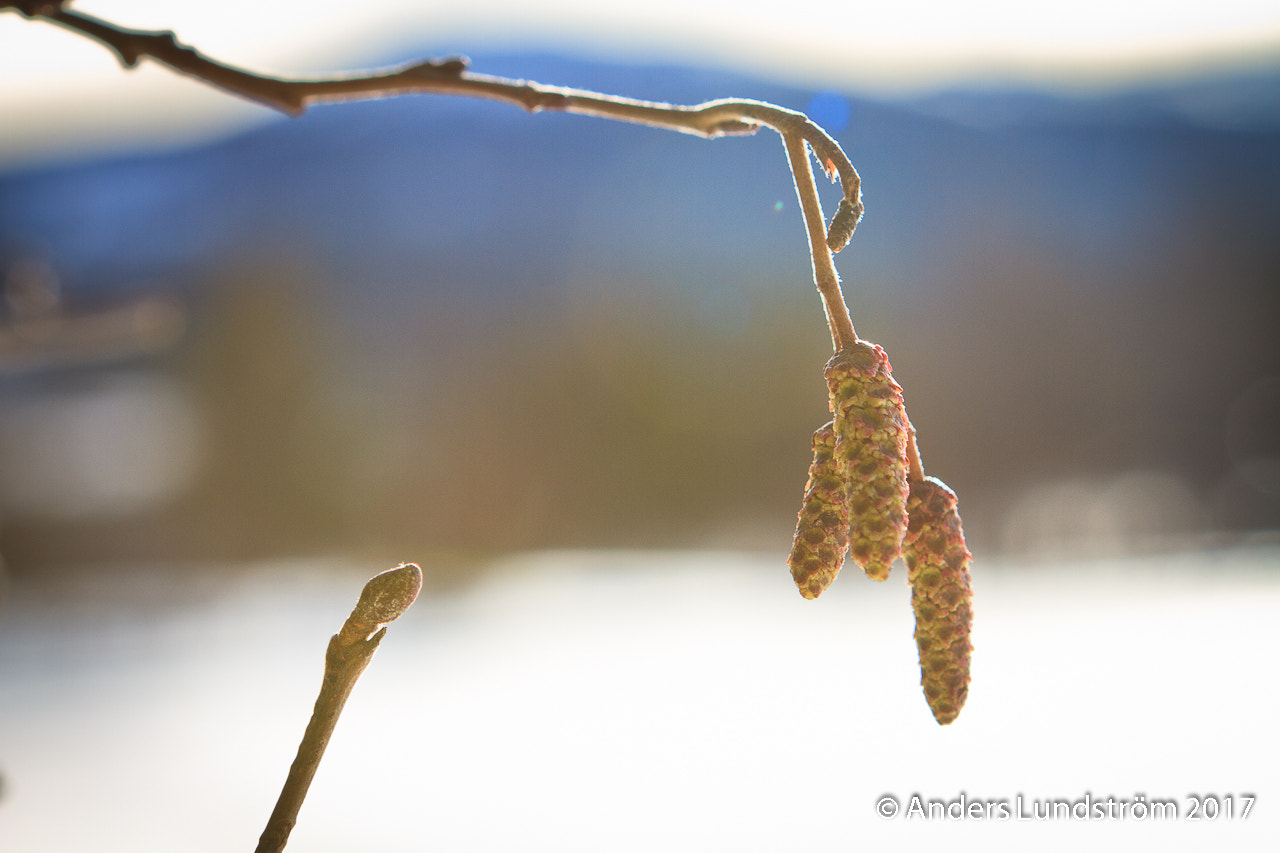 Canon EOS 7D sample photo. Snart är det vår photography