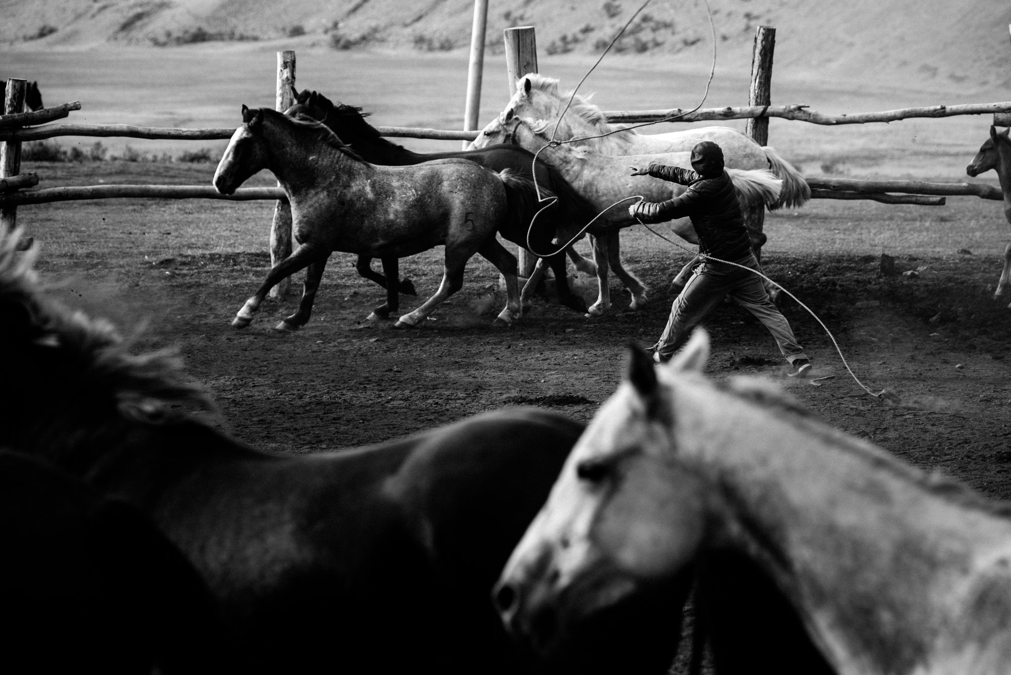 Nikon D800 + Nikon AF-Nikkor 80-200mm F2.8D ED sample photo. Trabajo de campo photography