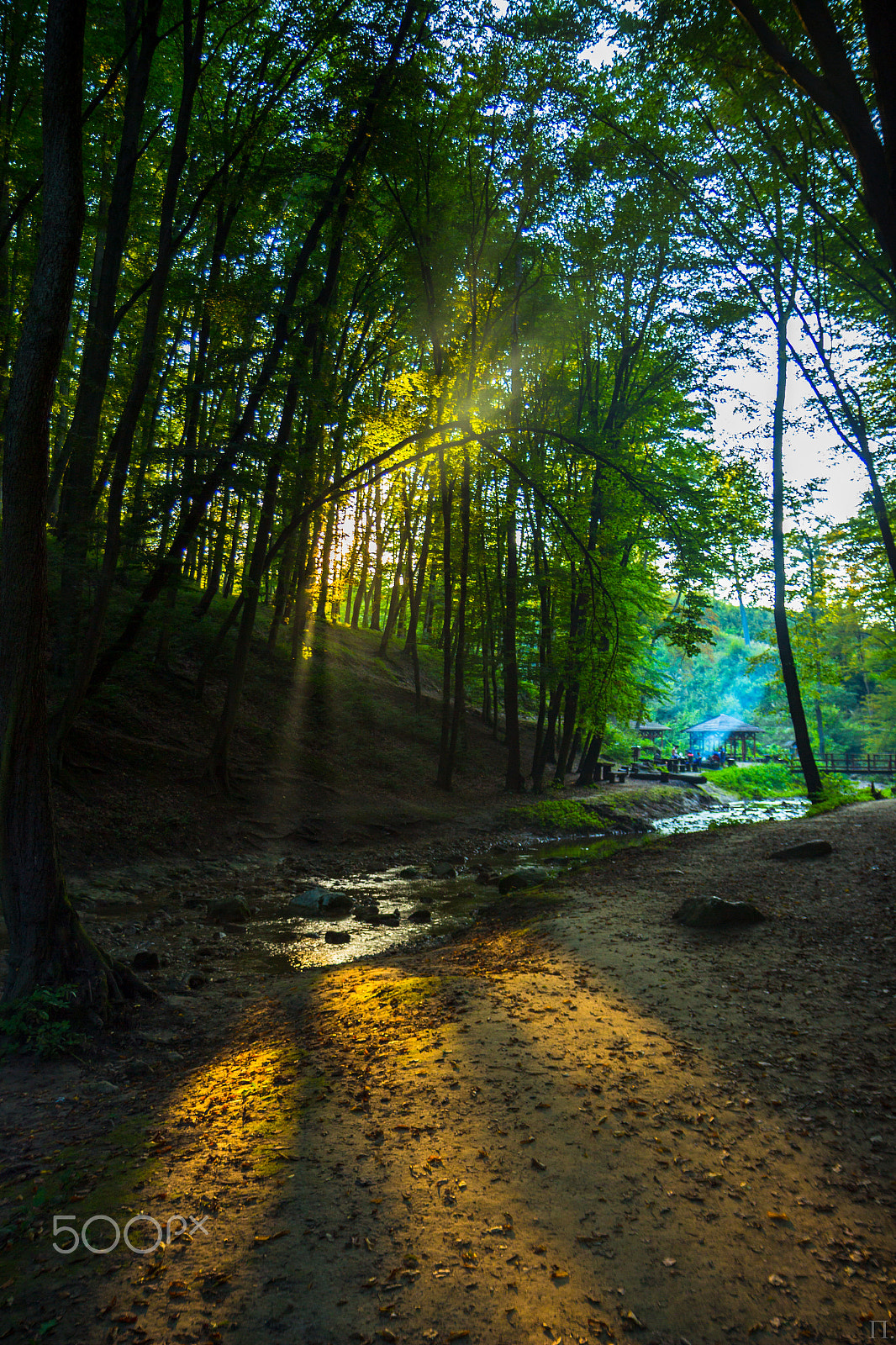 Canon EF-S 17-55mm F2.8 IS USM sample photo. Path to the roman bath at bakony photography