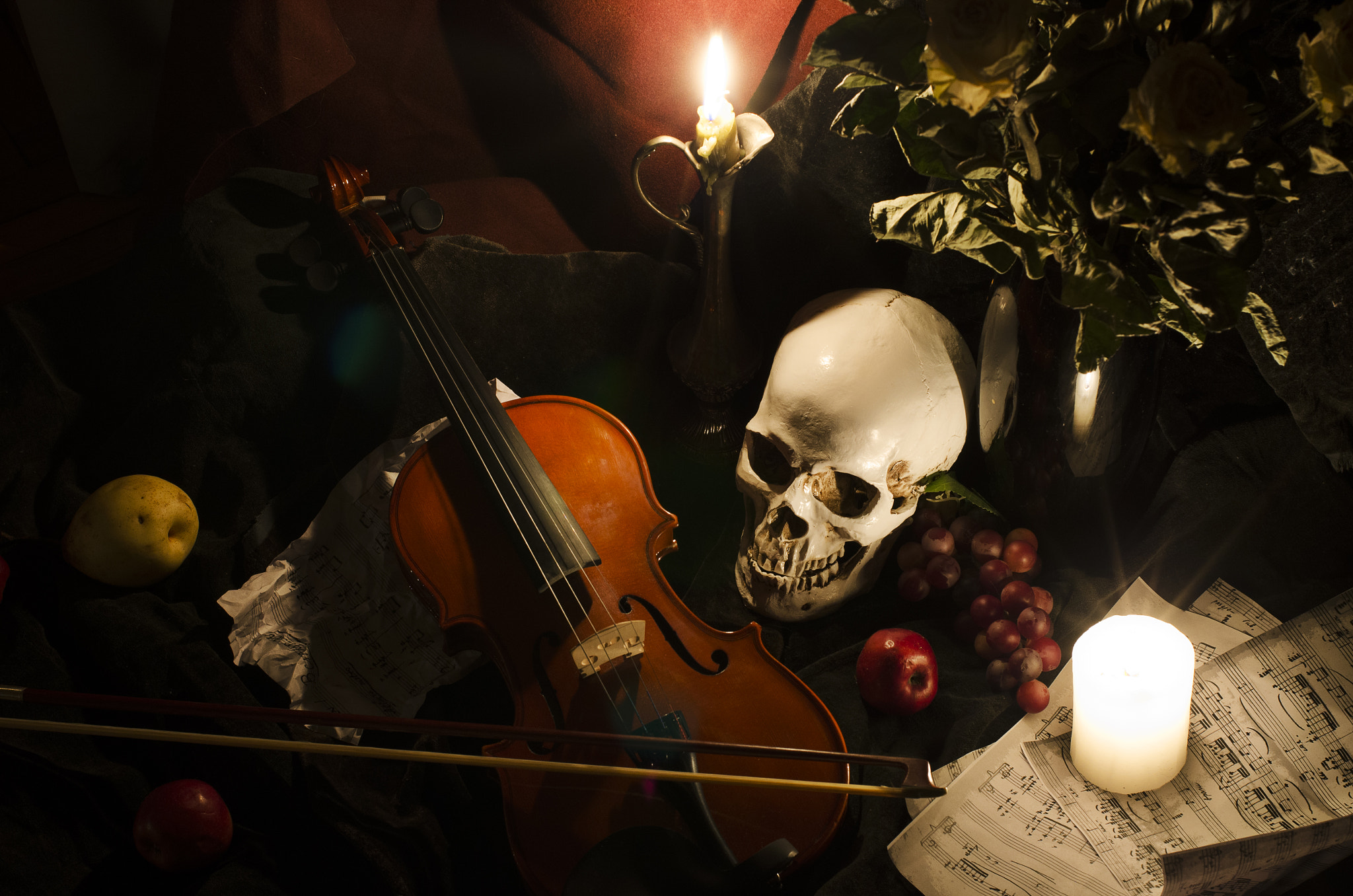 Nikon D7000 + Nikon AF Nikkor 50mm F1.4D sample photo. Music nature morte photography