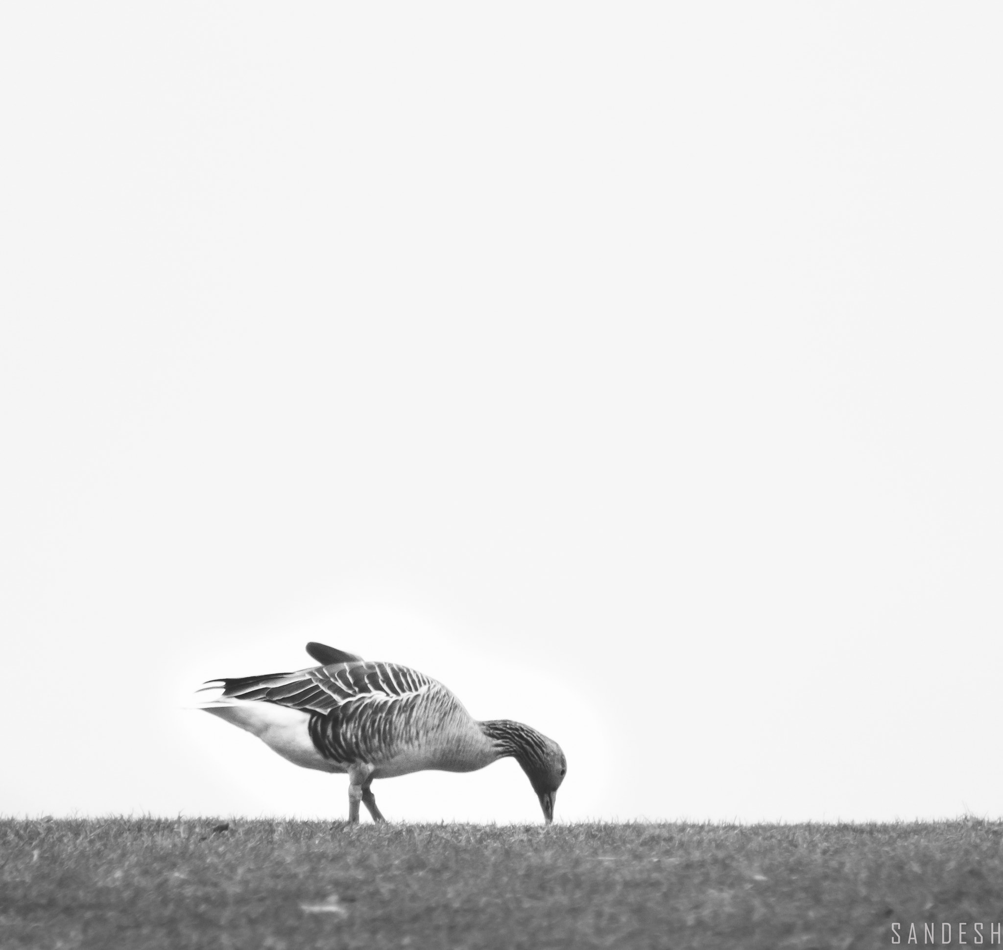 Canon EOS 60D + EF75-300mm f/4-5.6 sample photo. Calm day photography