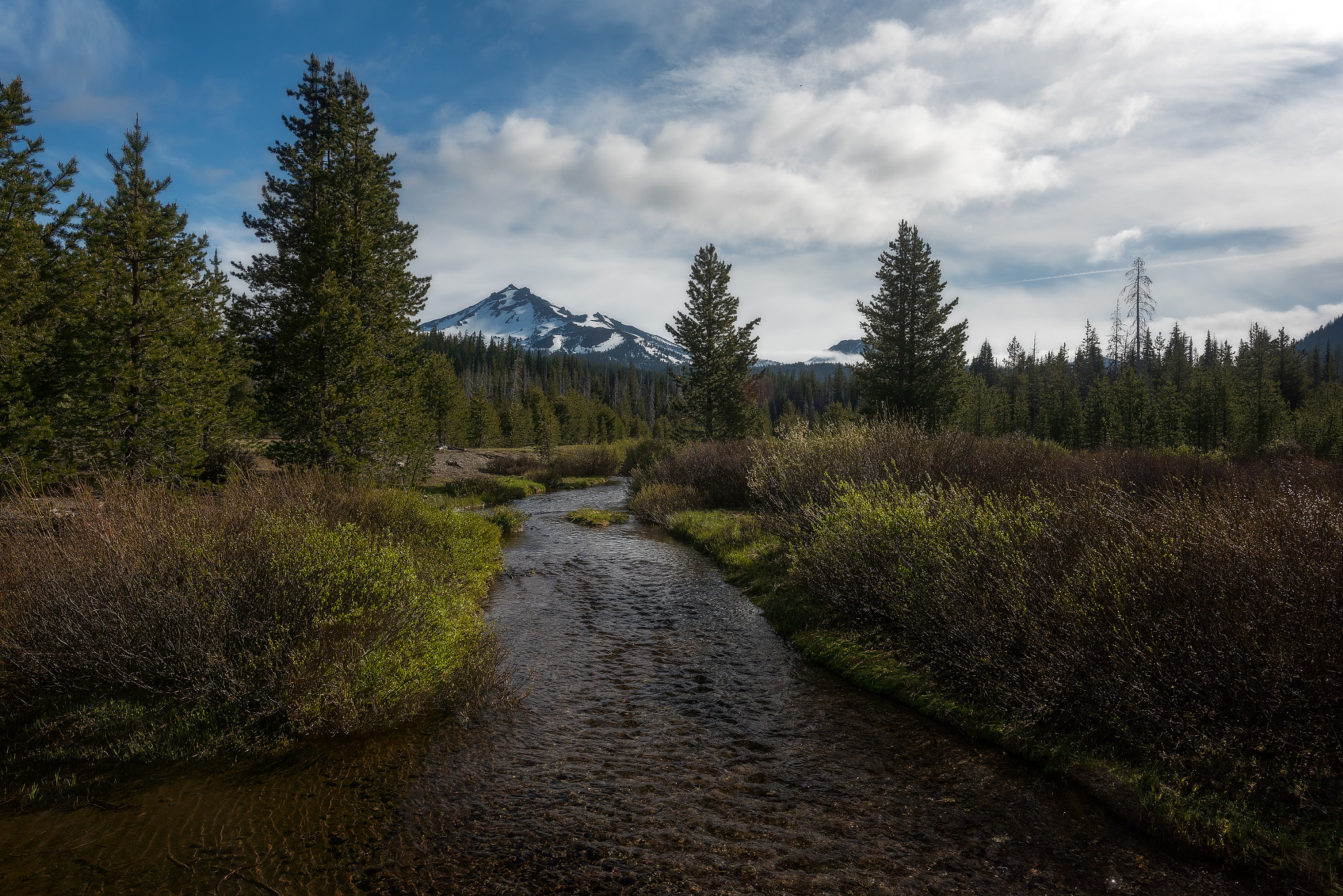 Nikon D810 sample photo. Three sisters morning photography