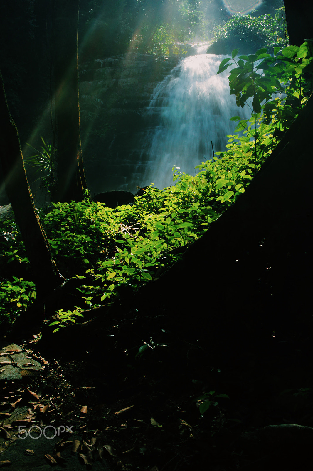 Canon EF-S 24mm F2.8 STM sample photo. Hidden wonder. photography