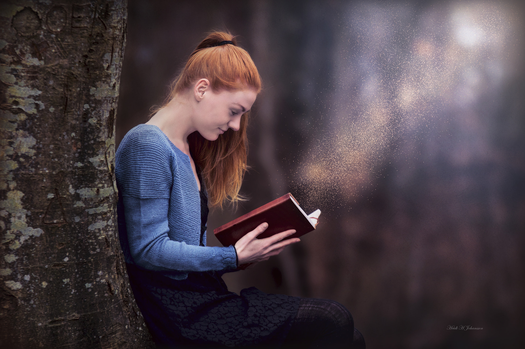 Sigma 70-200mm F2.8 EX DG OS HSM sample photo. The magic of books photography