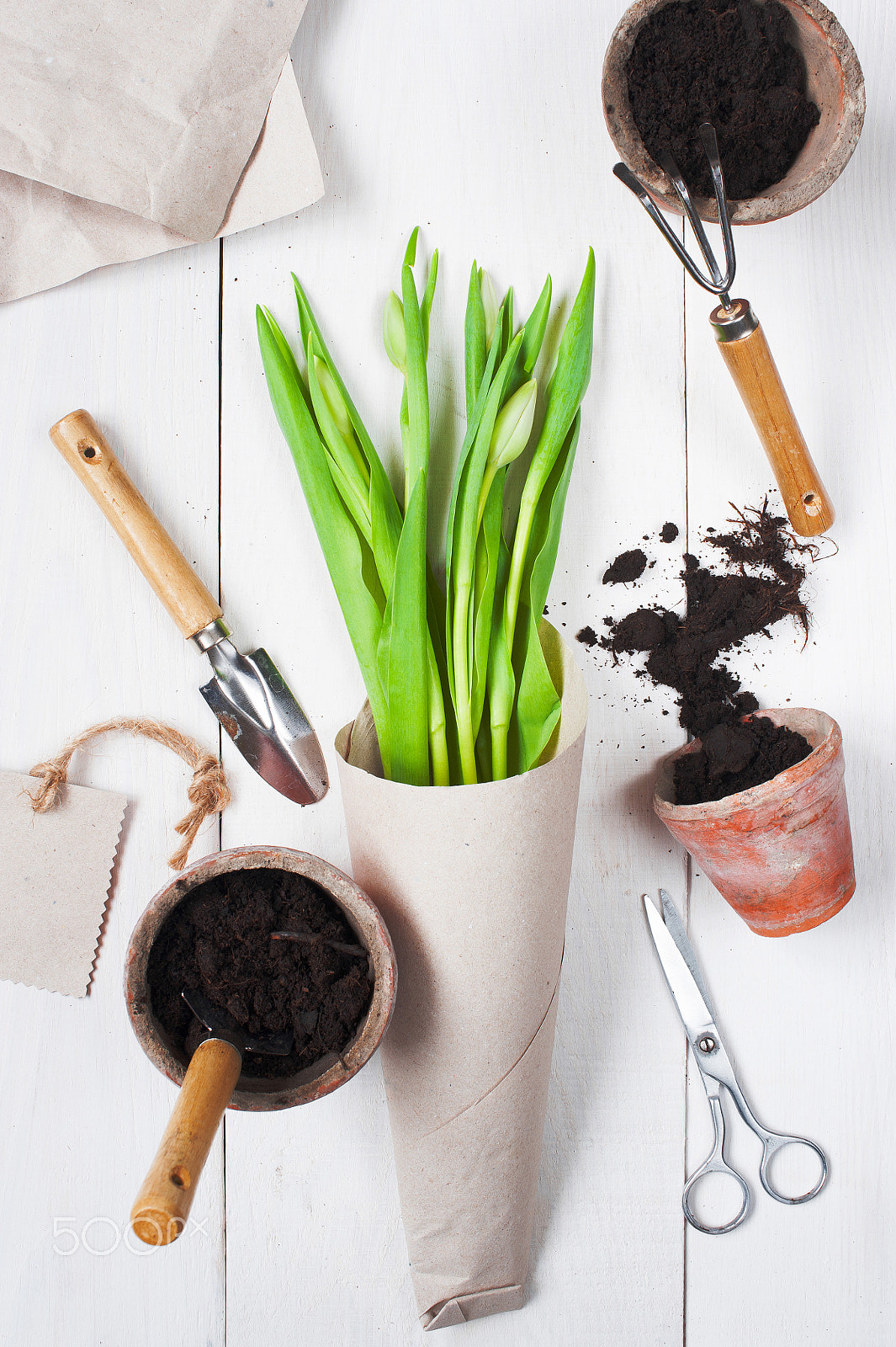 Nikon D700 + Sigma 50mm F1.4 EX DG HSM sample photo. Spring bouquet of tulips and garden tools photography